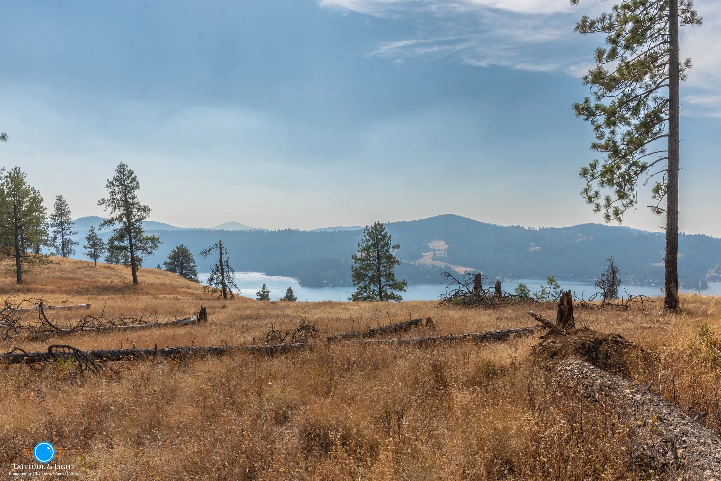 Harrison, Idaho land: A dry, grassy field with fallen tree logs and sparse pine trees, overlooking a lake surrounded by distant mountain ranges under a partly cloudy sky.