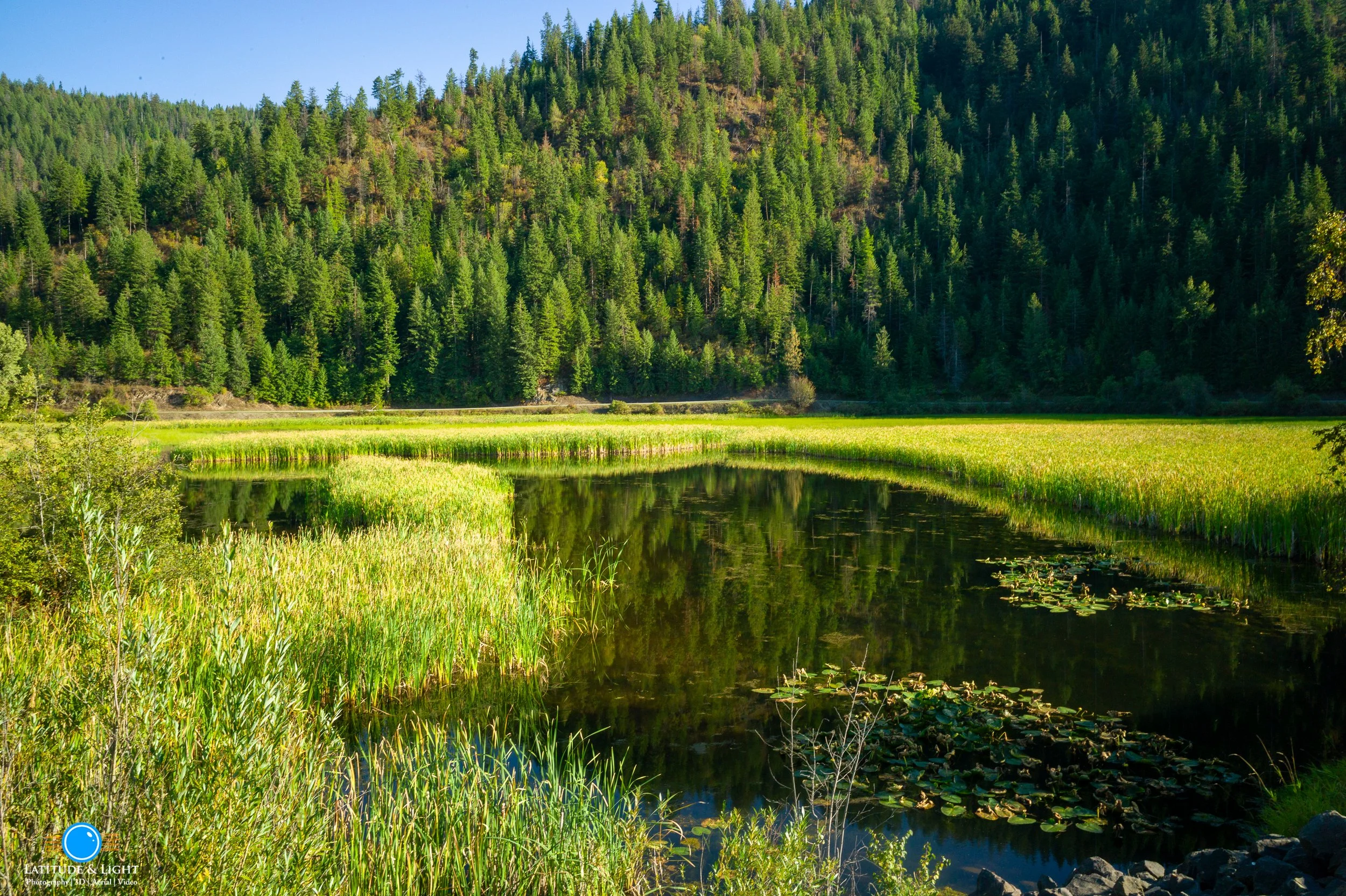 A serene landscape at the southern end of Lake Coeur D'Alene featuring a calm river bordered by tall green grass and water lilies, with a dense forest of evergreen trees on a hillside under a clear blue sky.