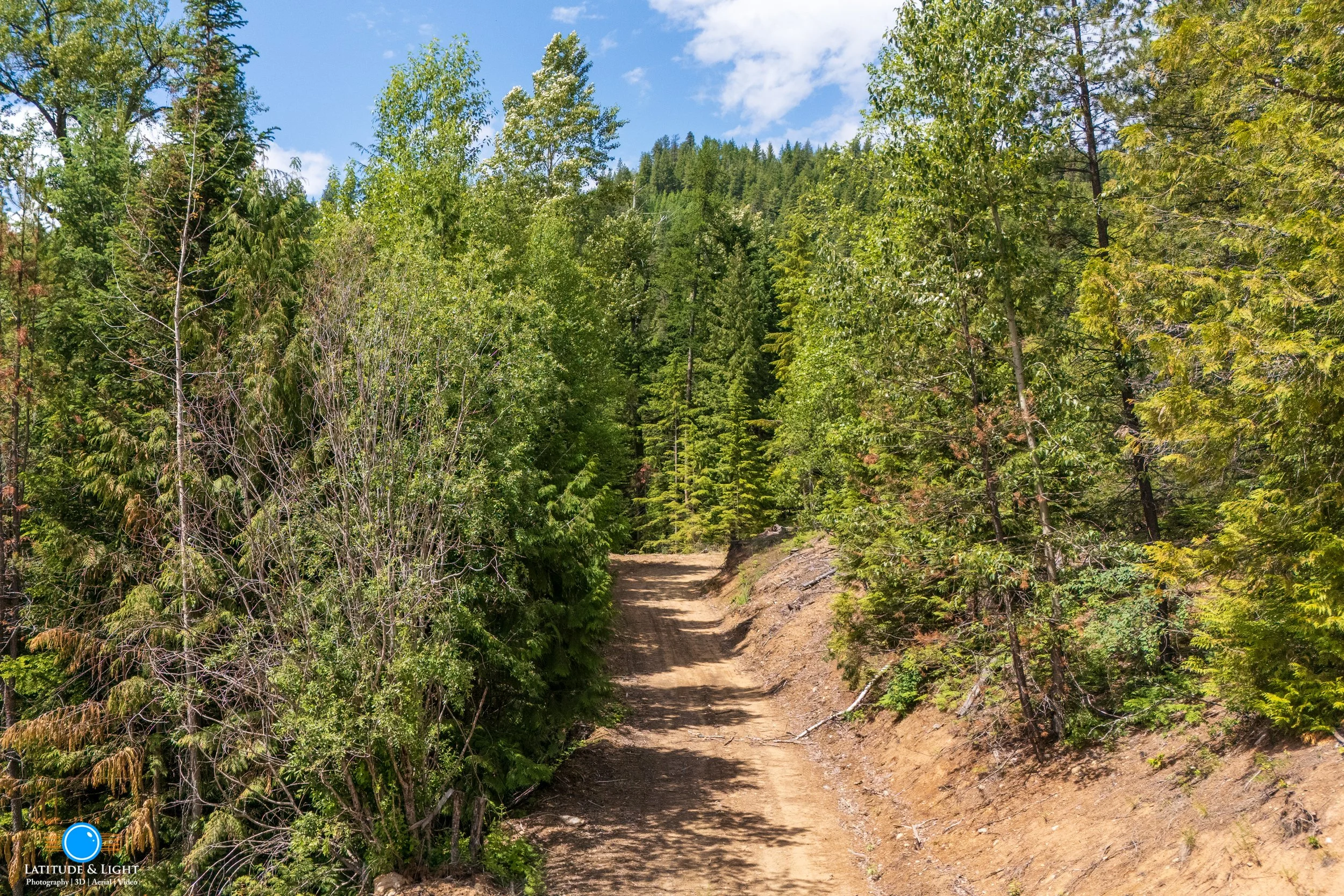 Priest River, Idaho: A dirt trail in a forest with tall green trees on both sides, under a blue sky with some clouds.