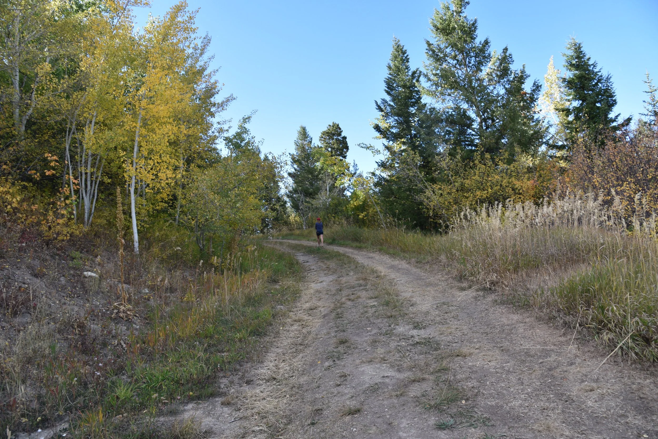 Country Road Take Me Home