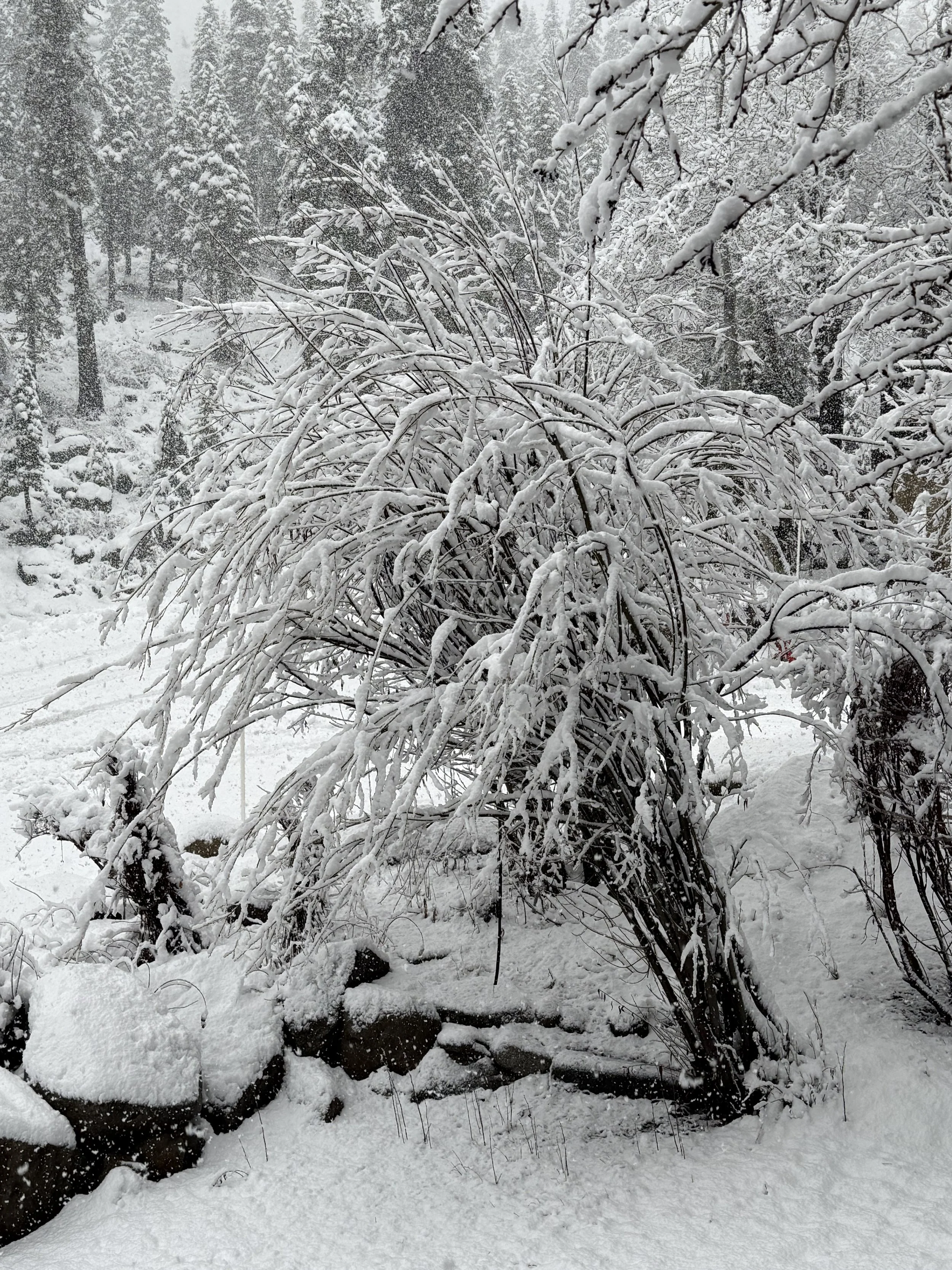 The Quiet That Watches