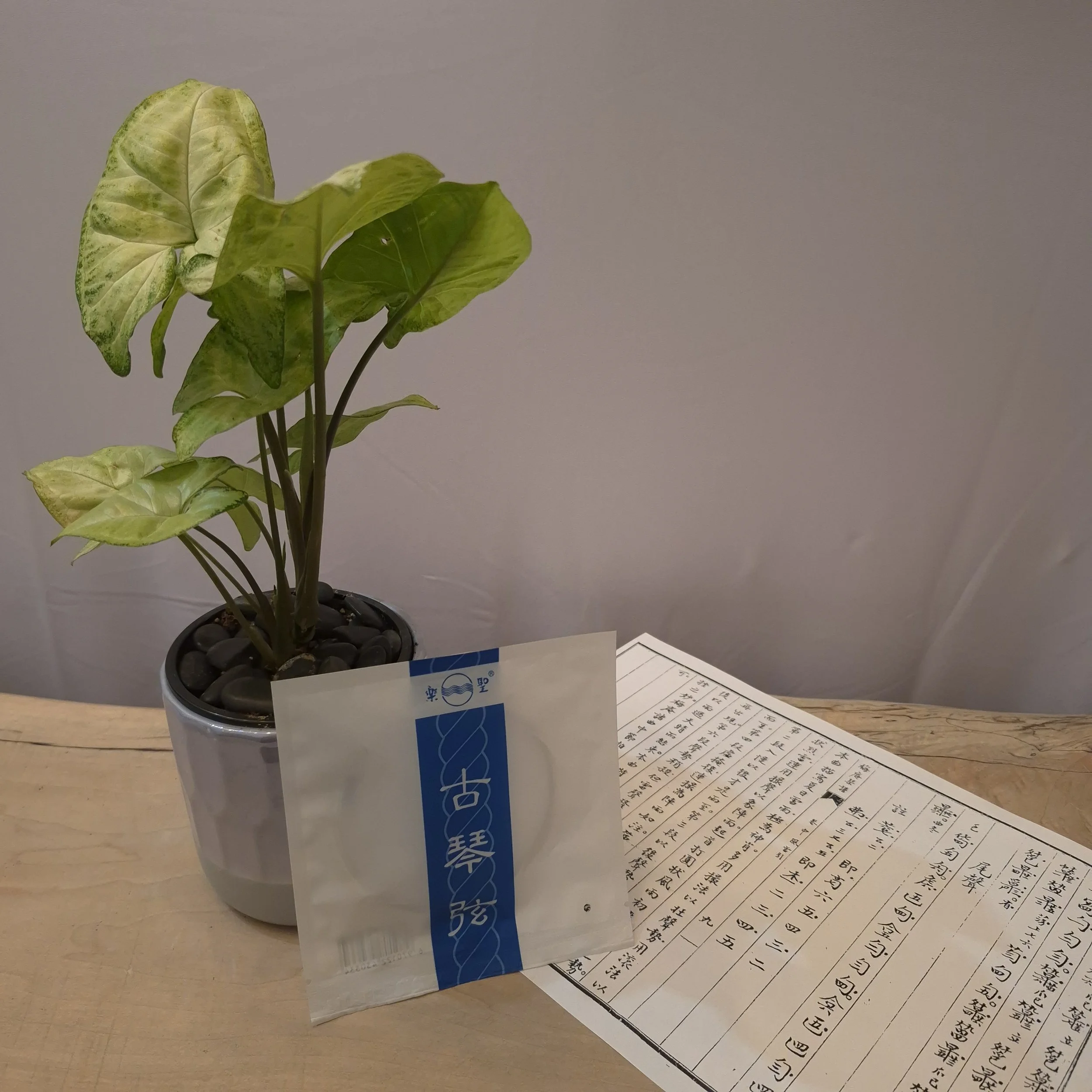 乐圣牌标准古琴钢弦五弦 Yuesheng Standard Steel Qin String V