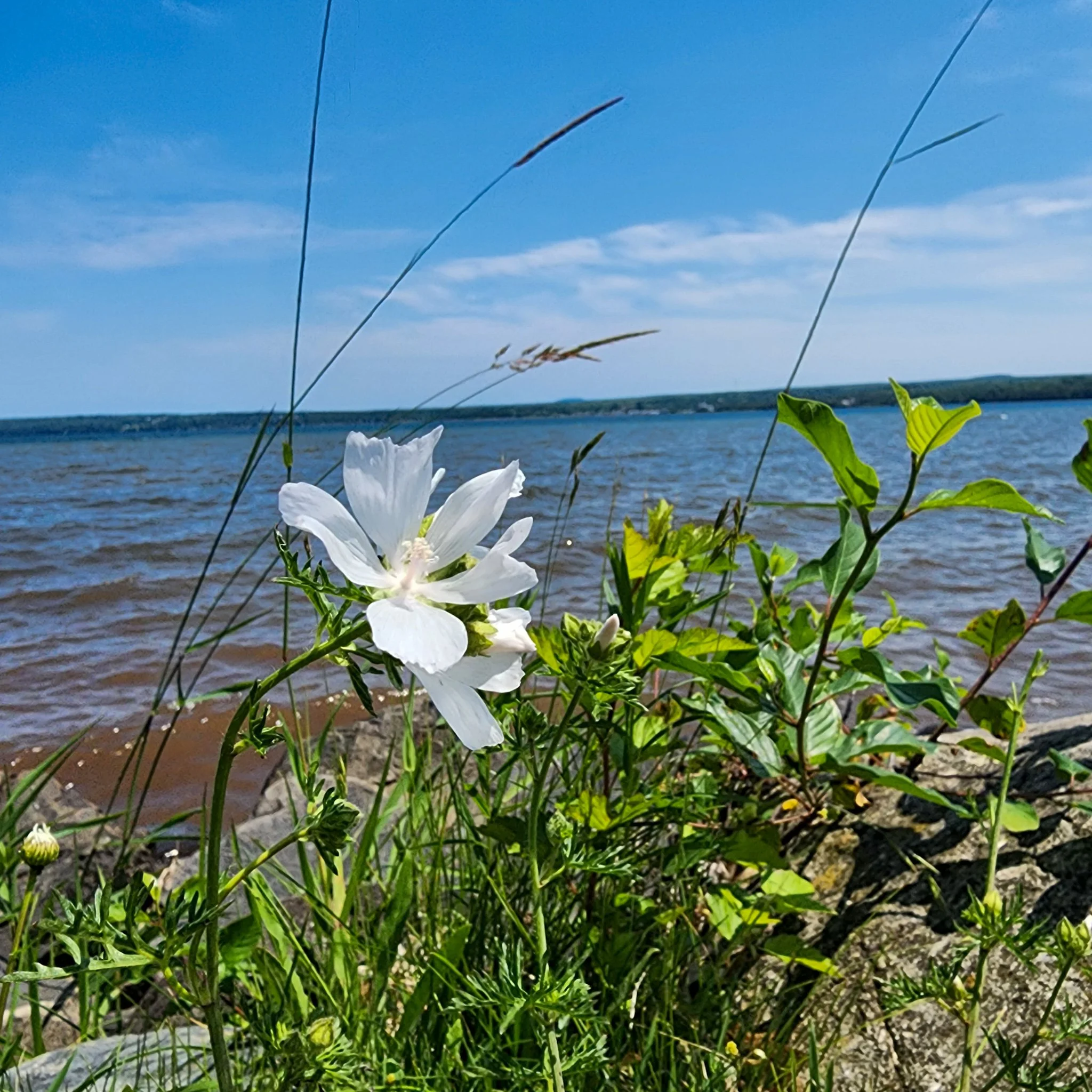 20250706_141639 (1).jpg