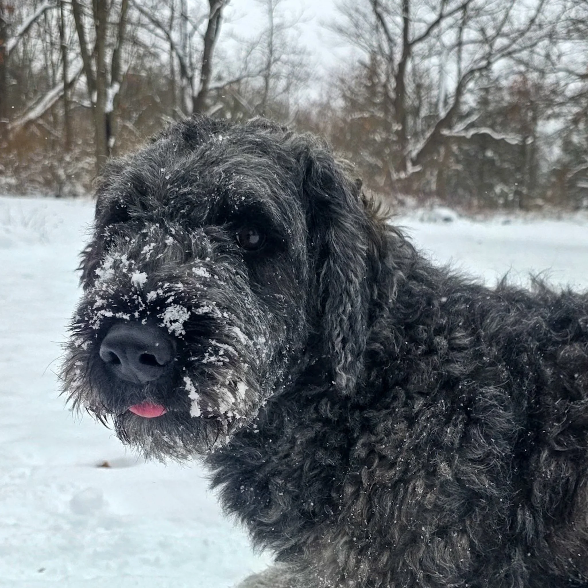 20251203_141538 (1).jpg