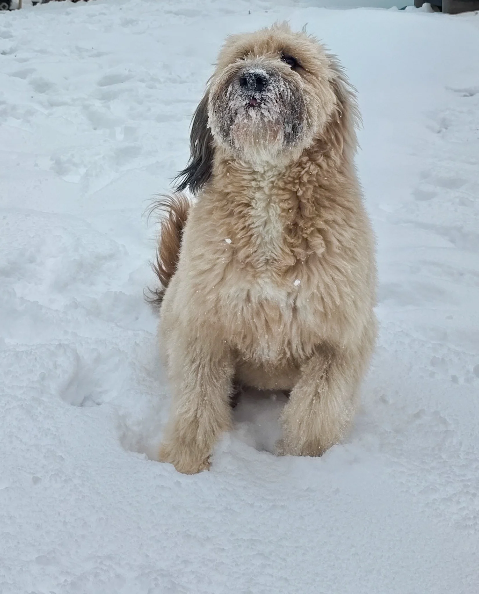 20251203_141518 (1).jpg