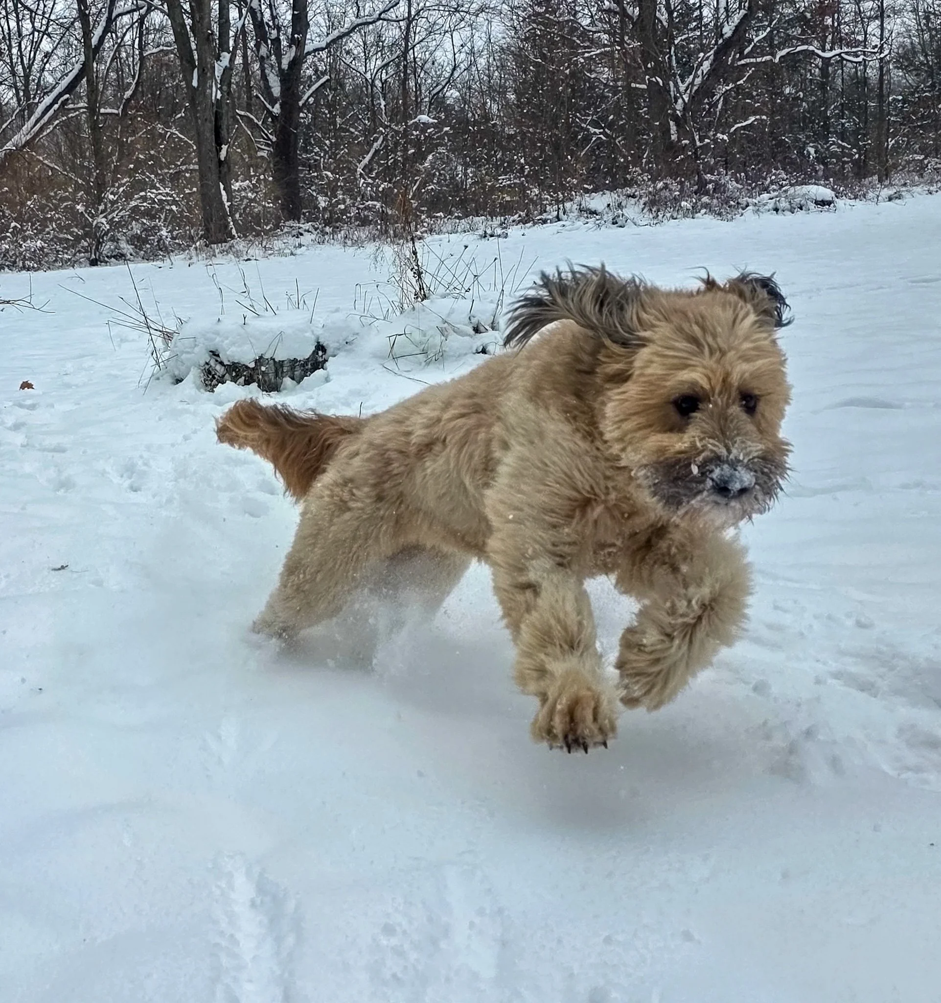 20251203_141927(0) (1).jpg