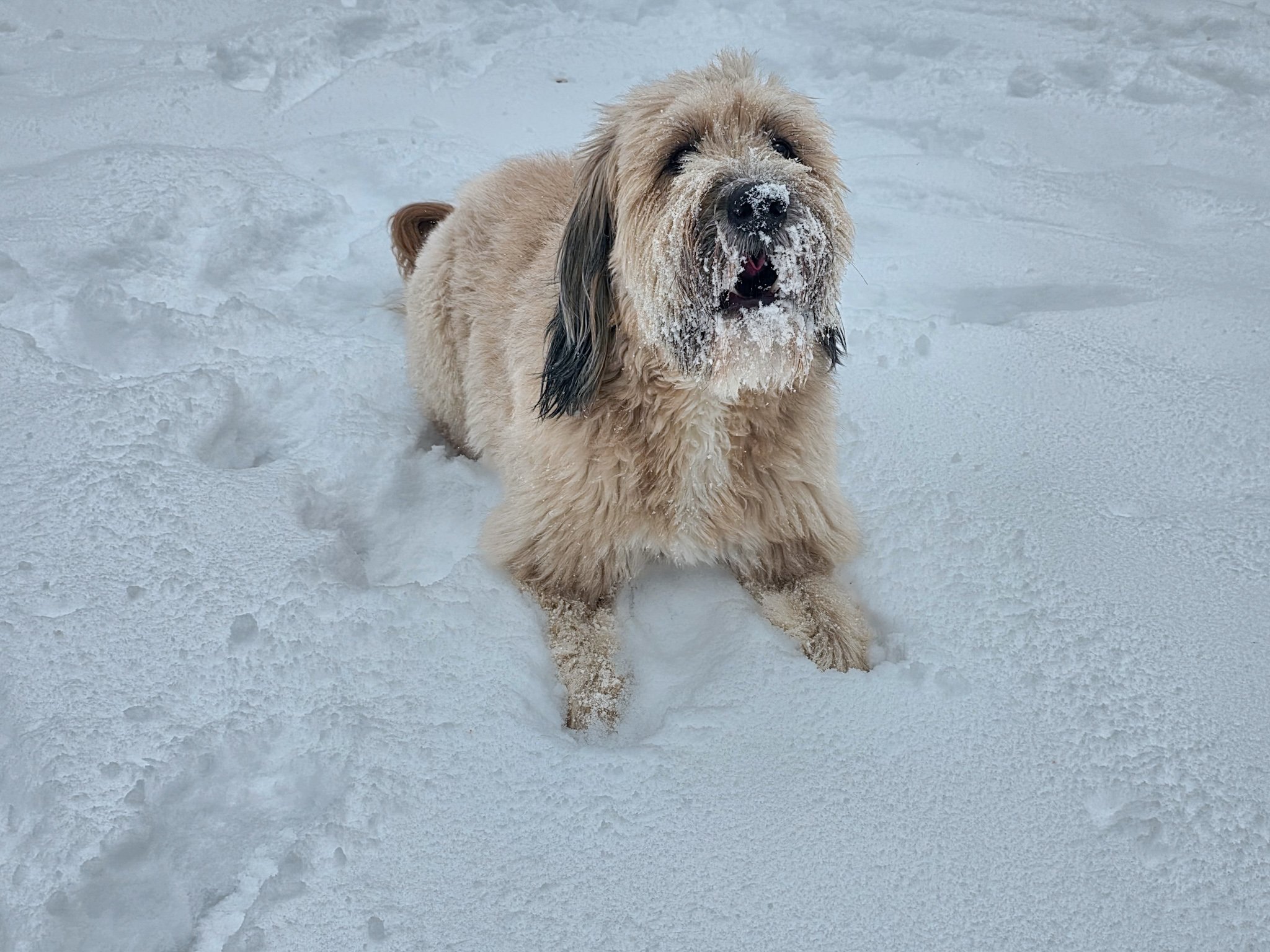 20251203_141526(0) (1).jpg