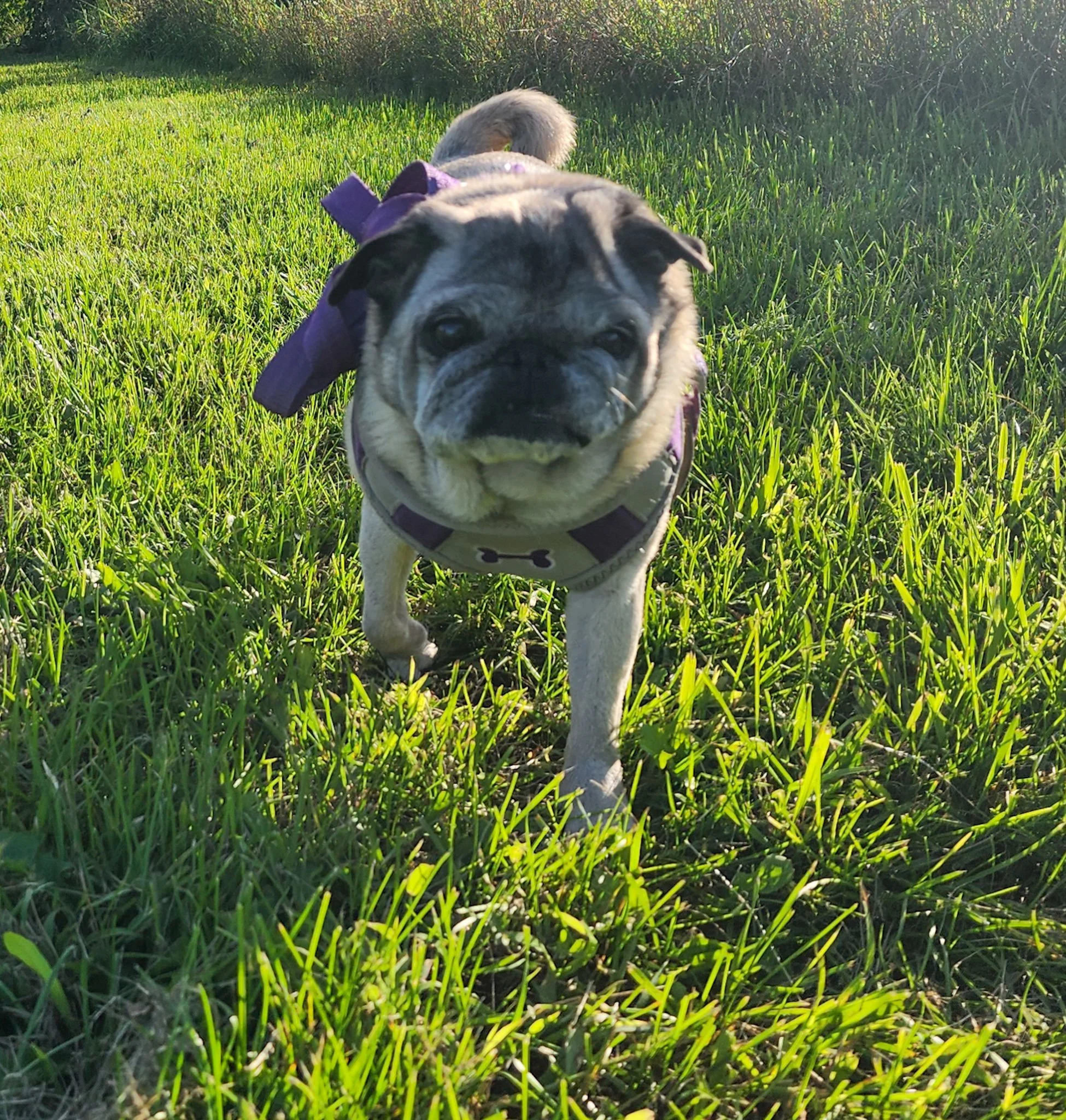 20250829_182149 (1).jpg