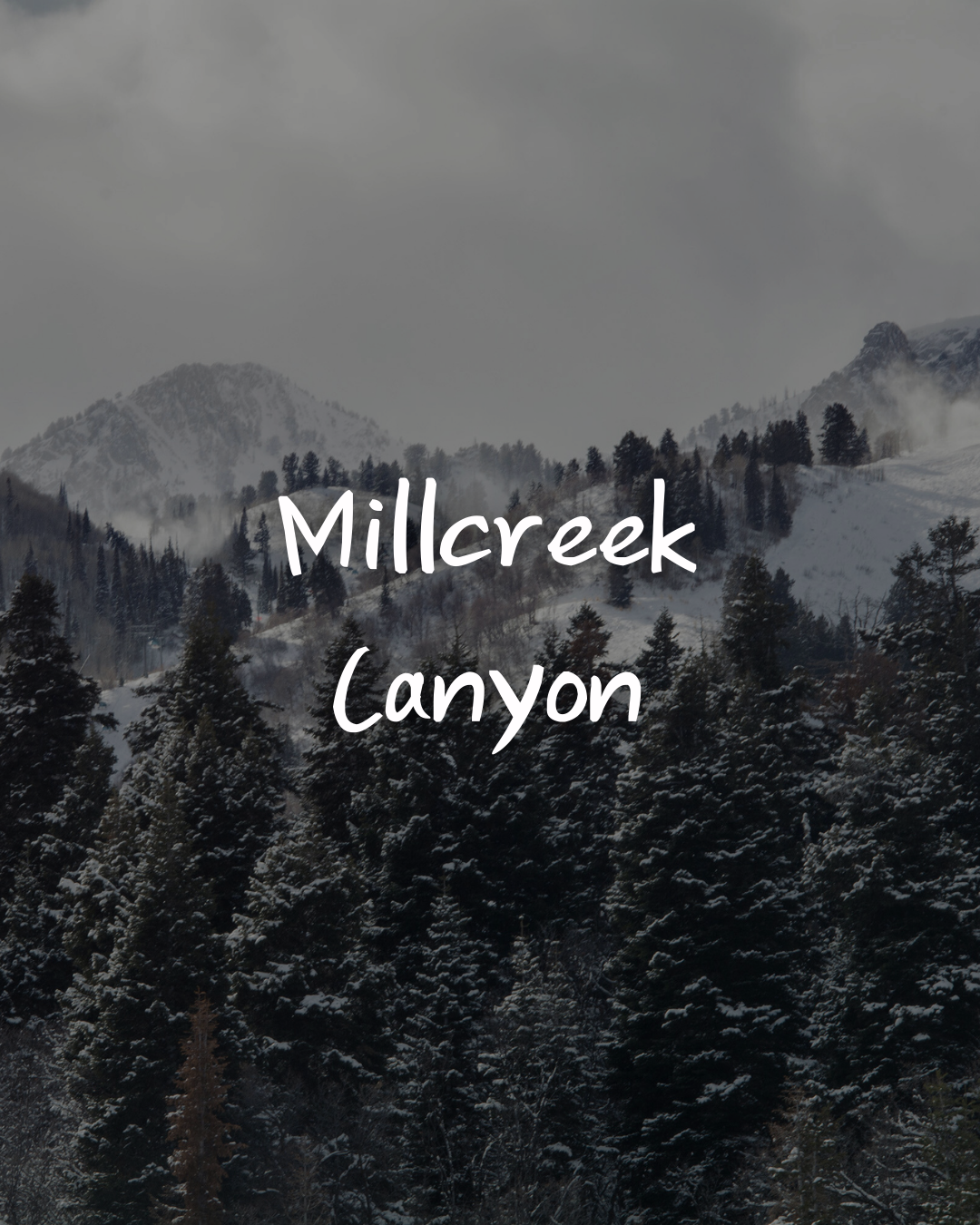 Millcreek Canyon Winter Walk