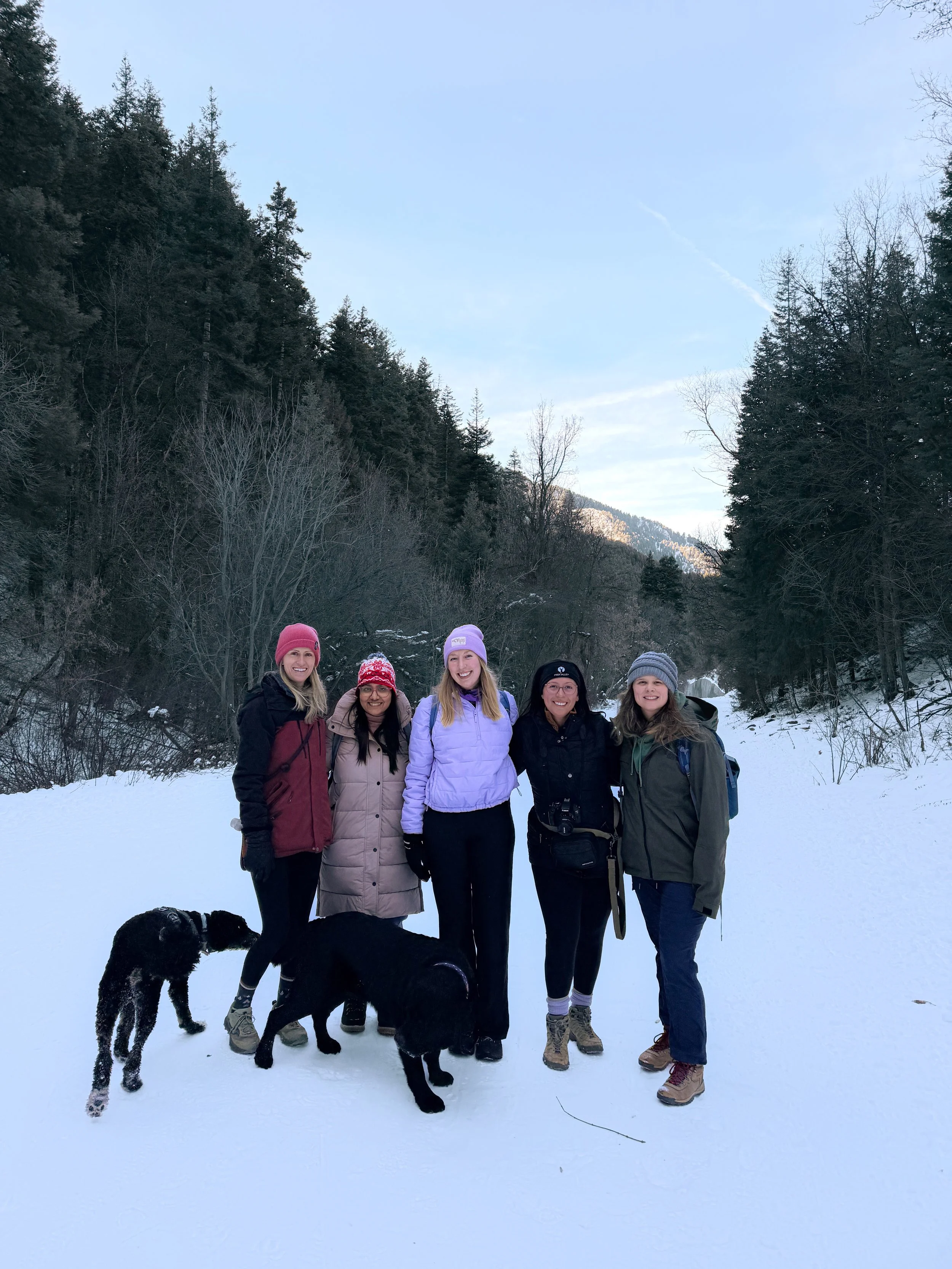 Millcreek Canyon Walk l 1.17.26