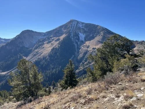 Box Elder Peak - July 18
