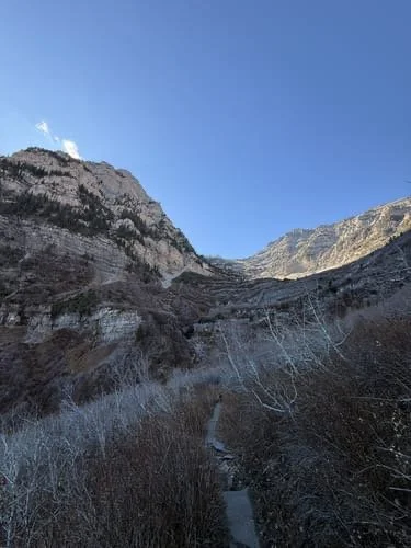 Timp Shoulder Run - August 22