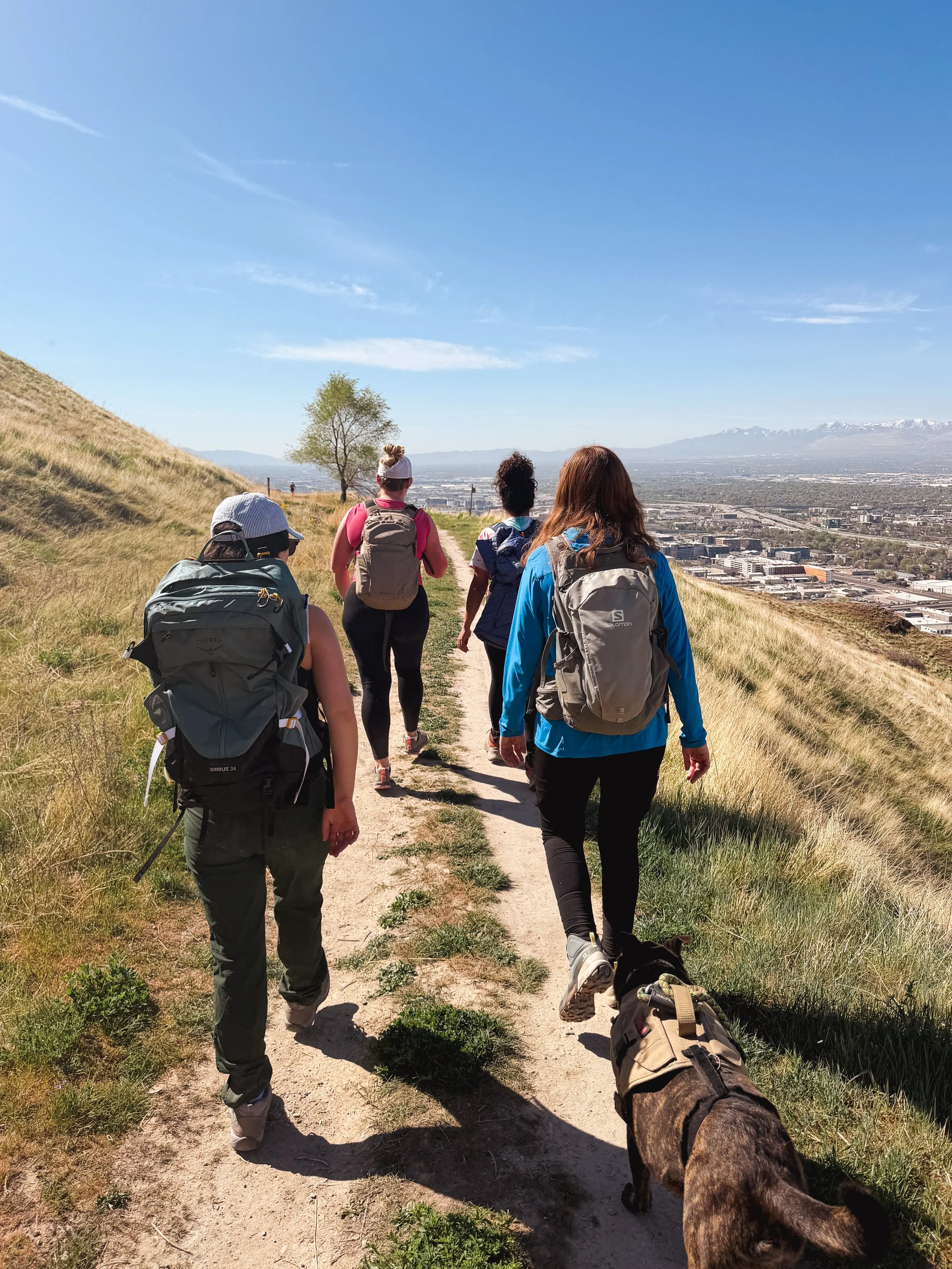 Group of five hikers walking along a dirt trail on a hillside with a cityscape and mountains in the distance under a clear blue sky, one with a dog.