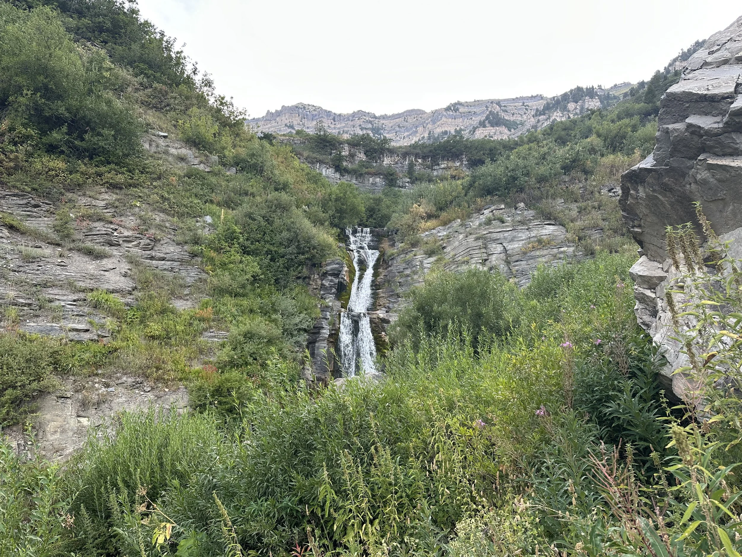 IMG_5462.jpeg