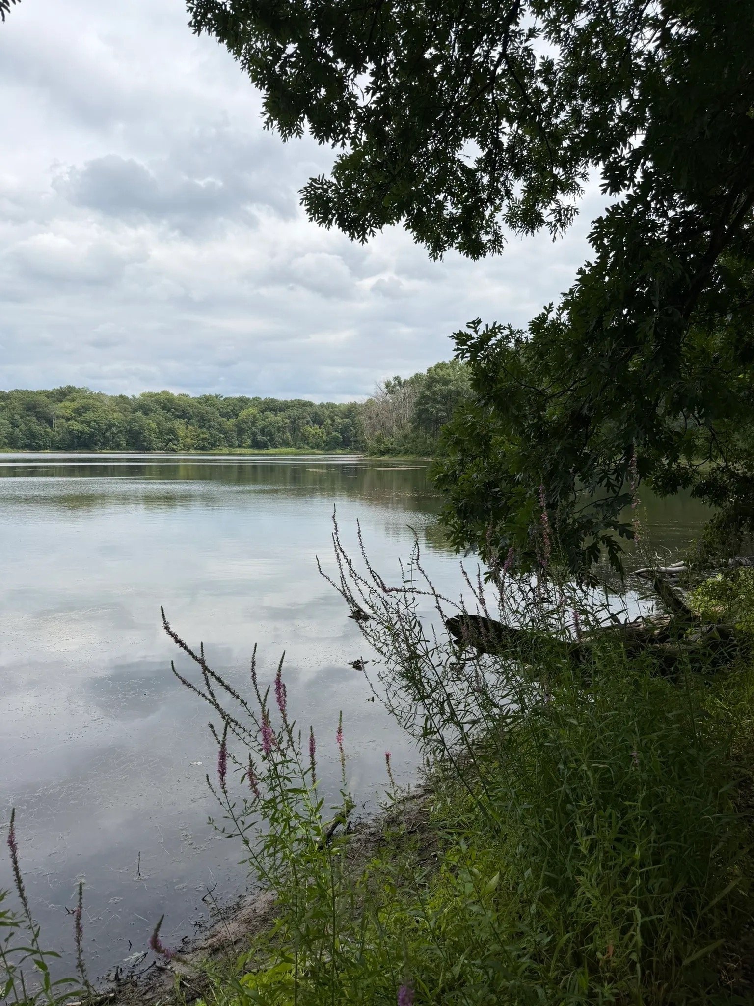 2026-08-16 | Minnesota | Lebanon Hills Regional Park - Holland and O’Brien Lakes Trail