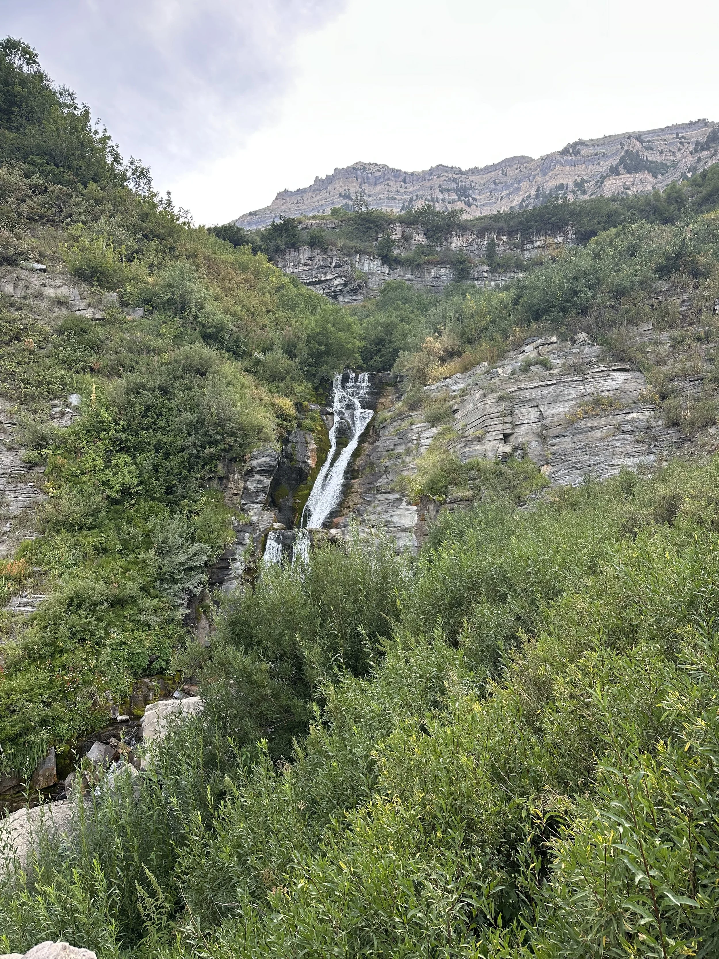 IMG_5455.jpeg