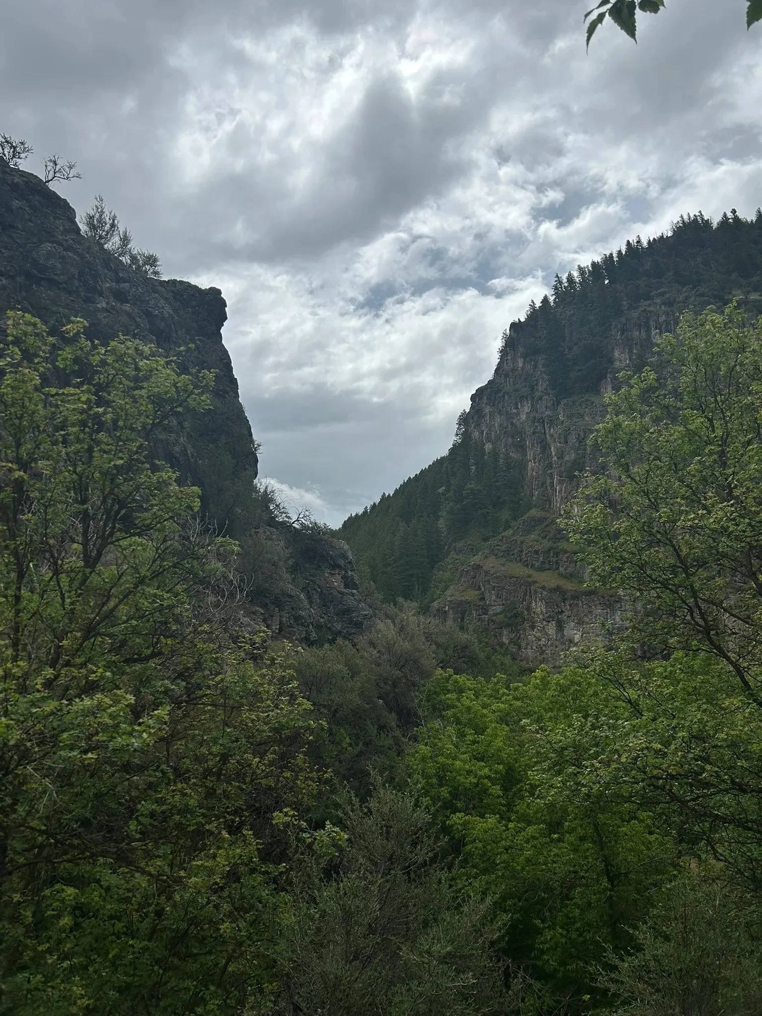 Image 11.jpeg