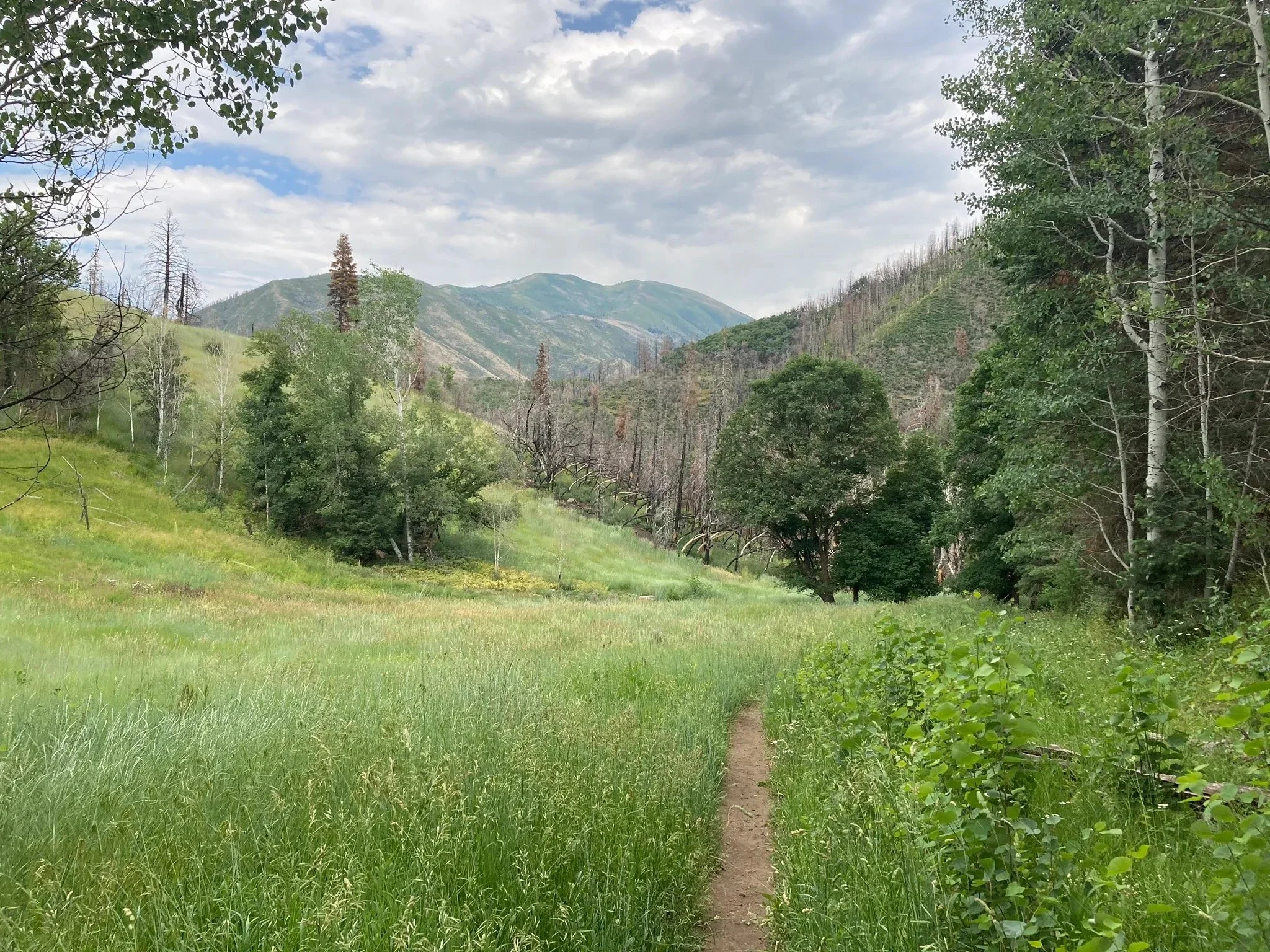 Red Lake Alpine Ascent Hike
