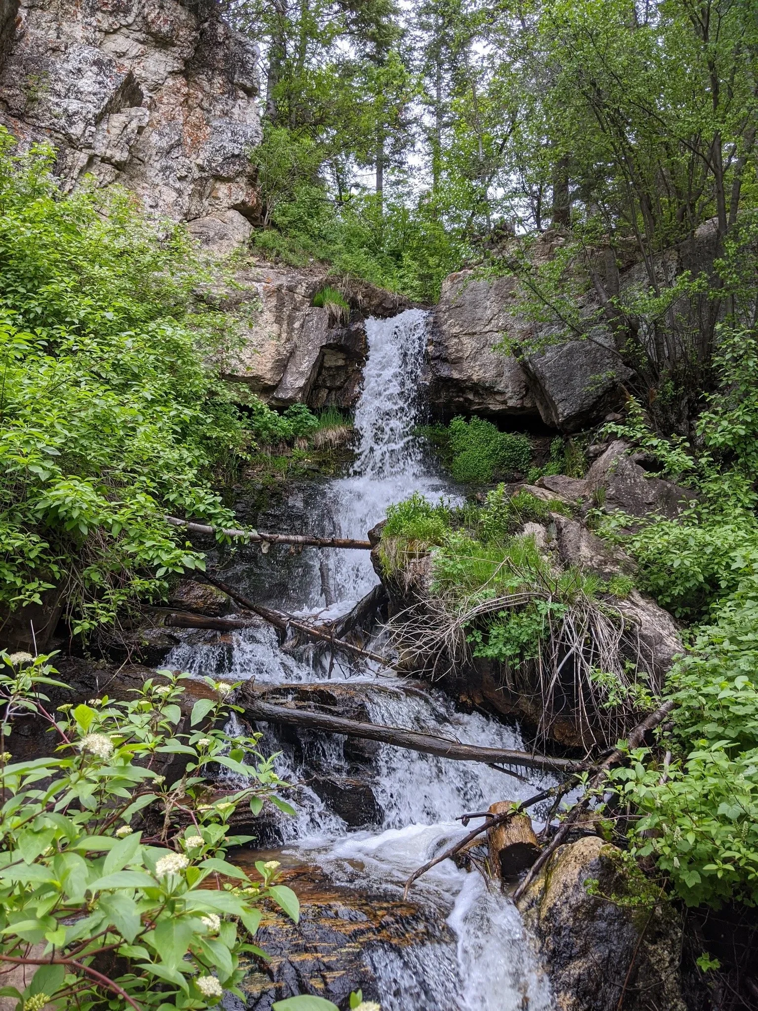 South Deul Creek Trail — Evening Canyon Hike