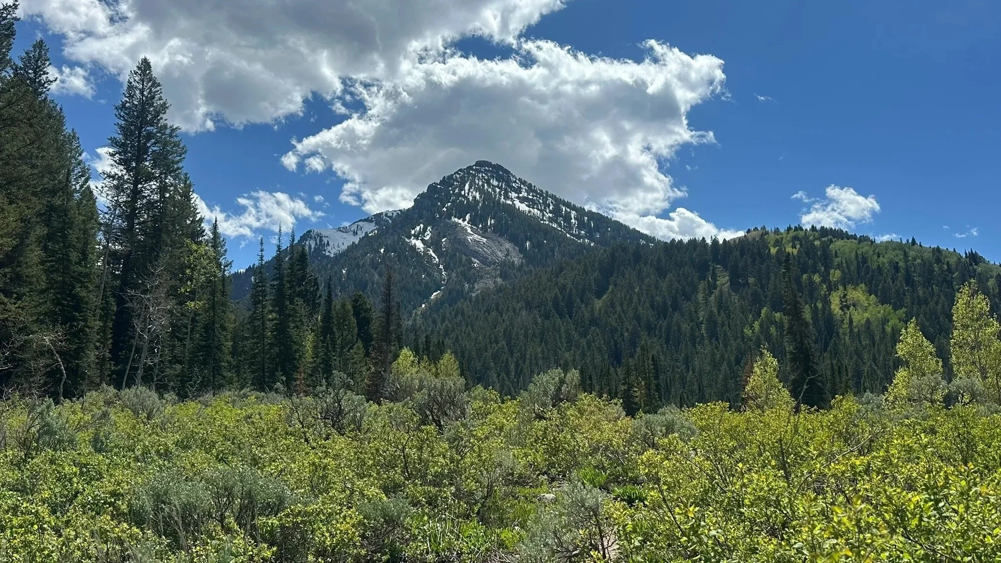Kesler Peak | GGH Summit Series