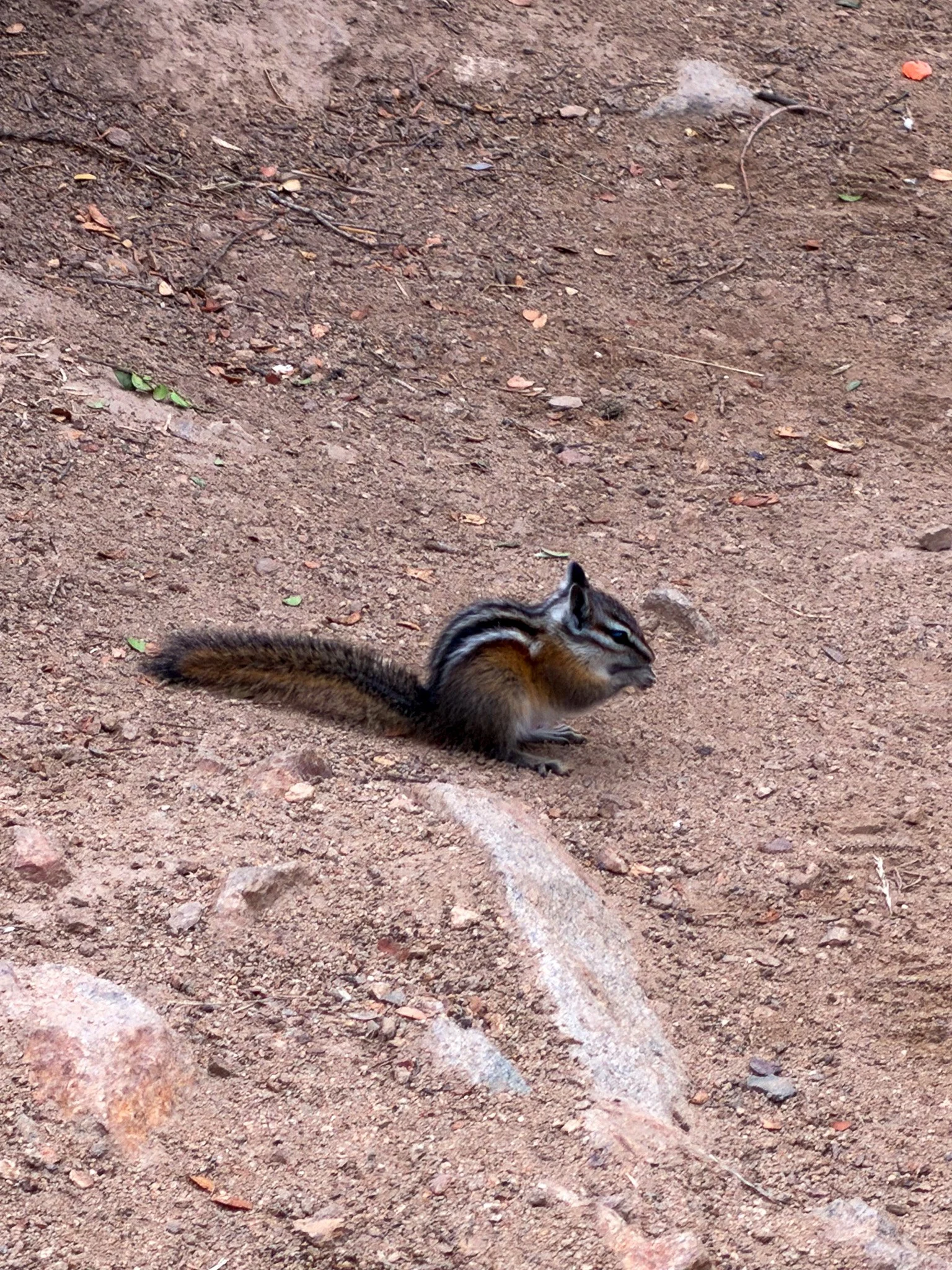 IMG_2262.jpg