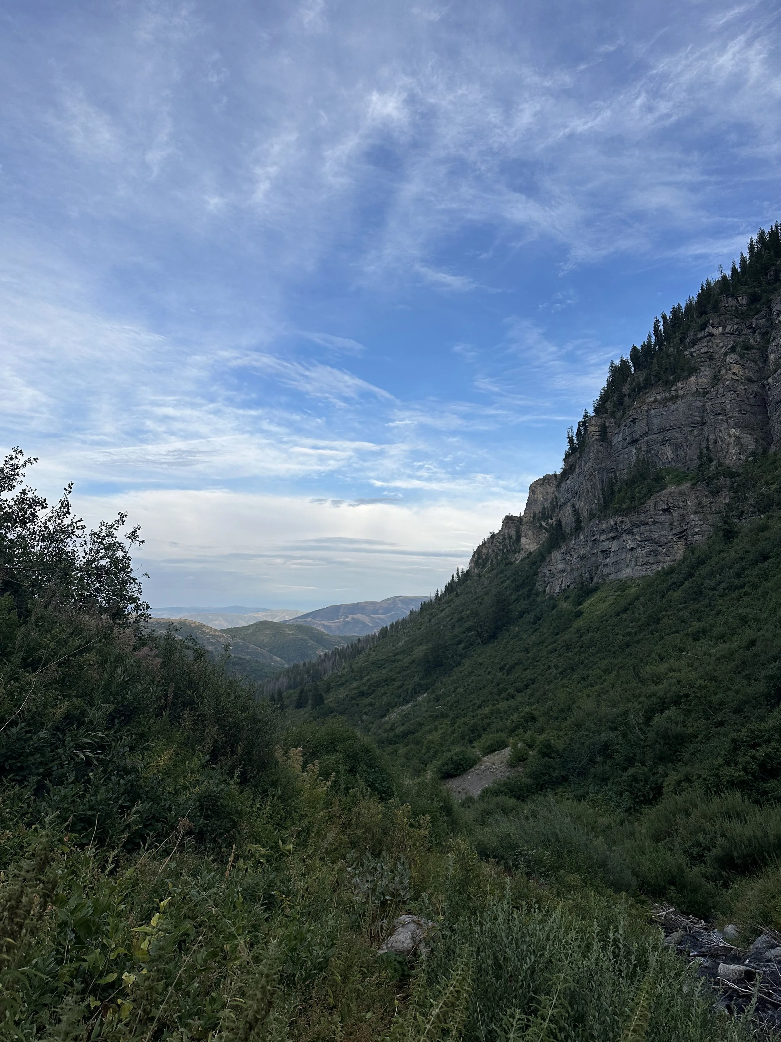 IMG_5464.jpeg