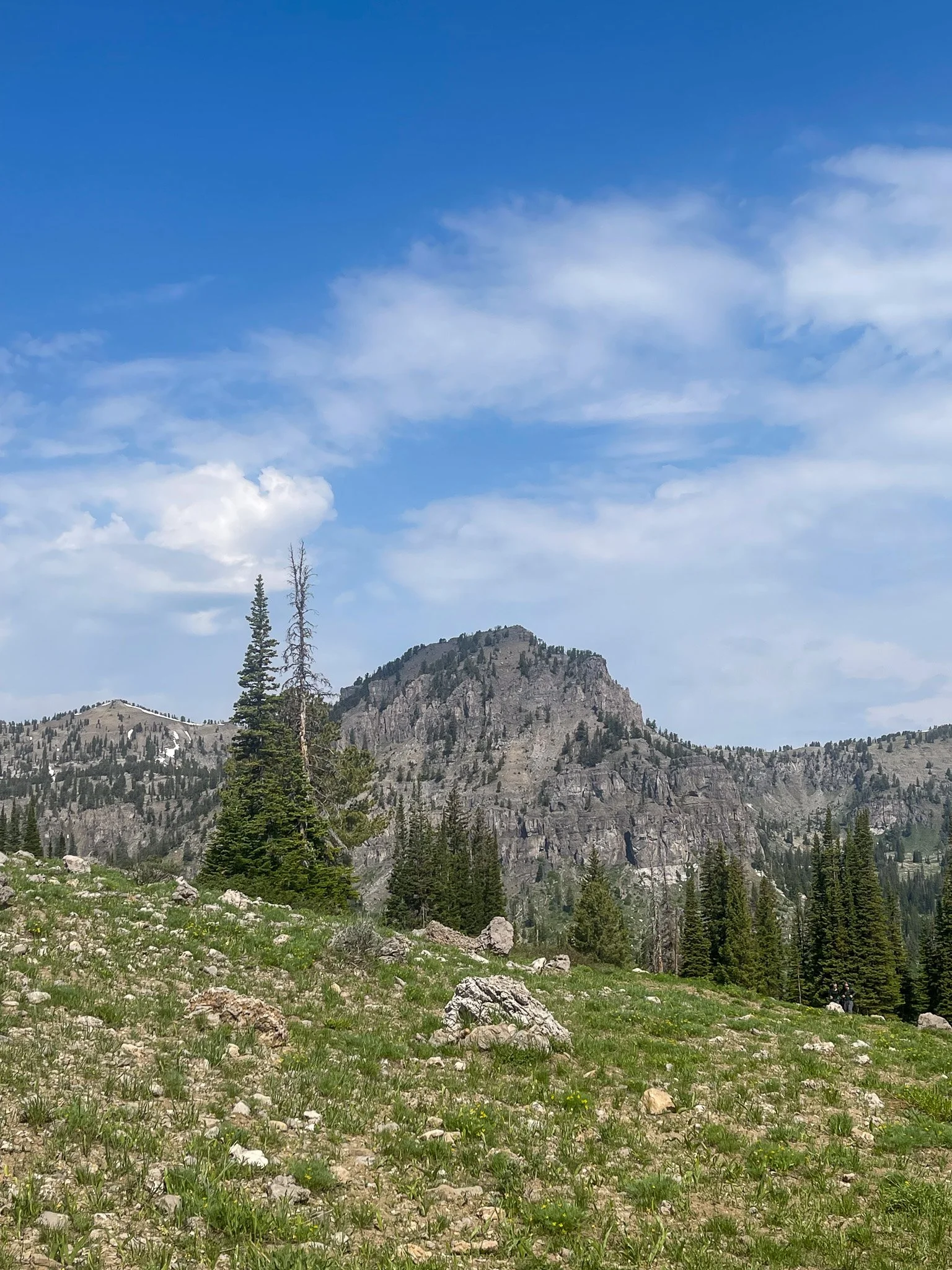IMG_8187.jpg
