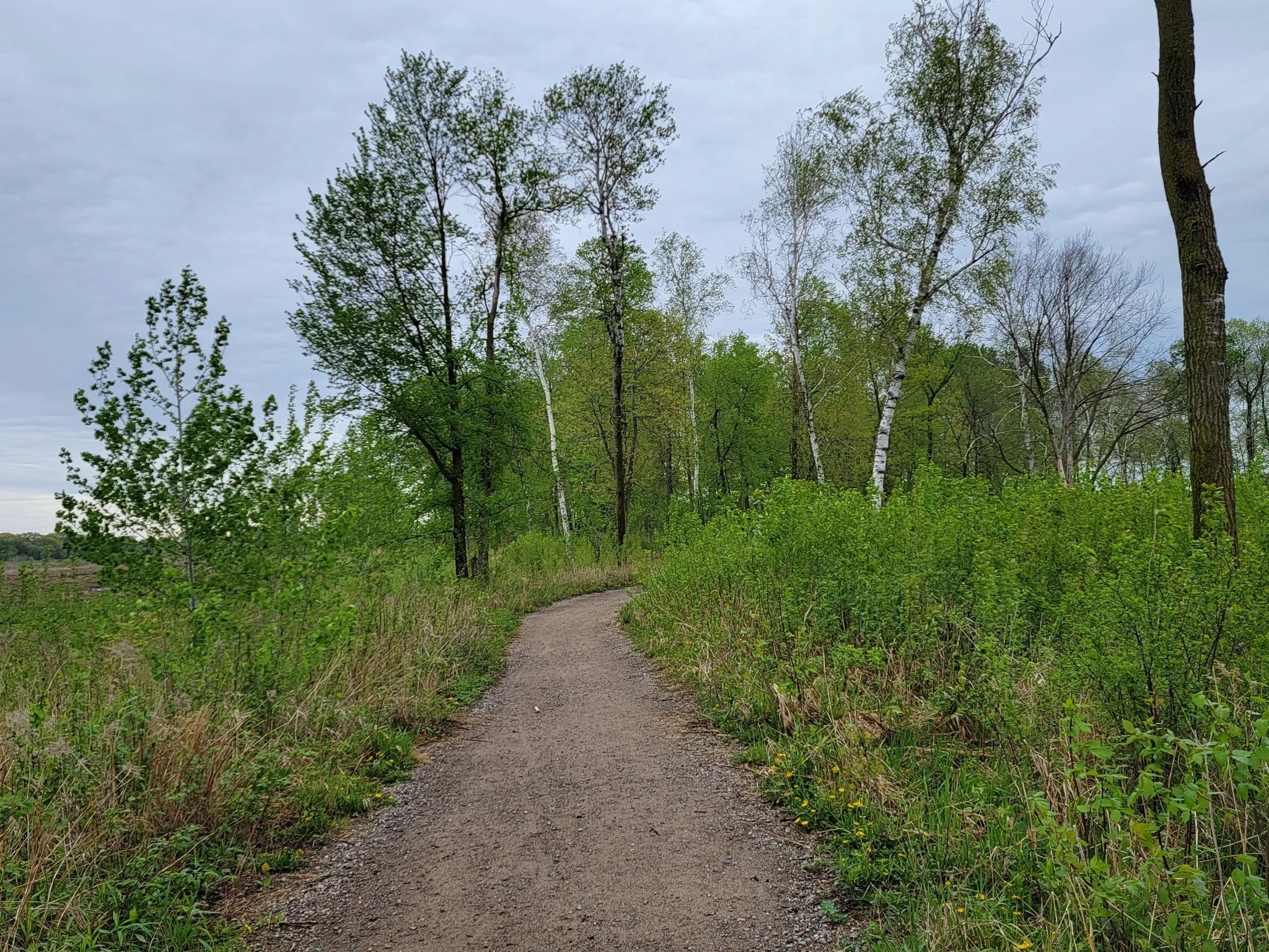 2026-08-13 | Minnesota | Blaine Wetland Sanctuary path