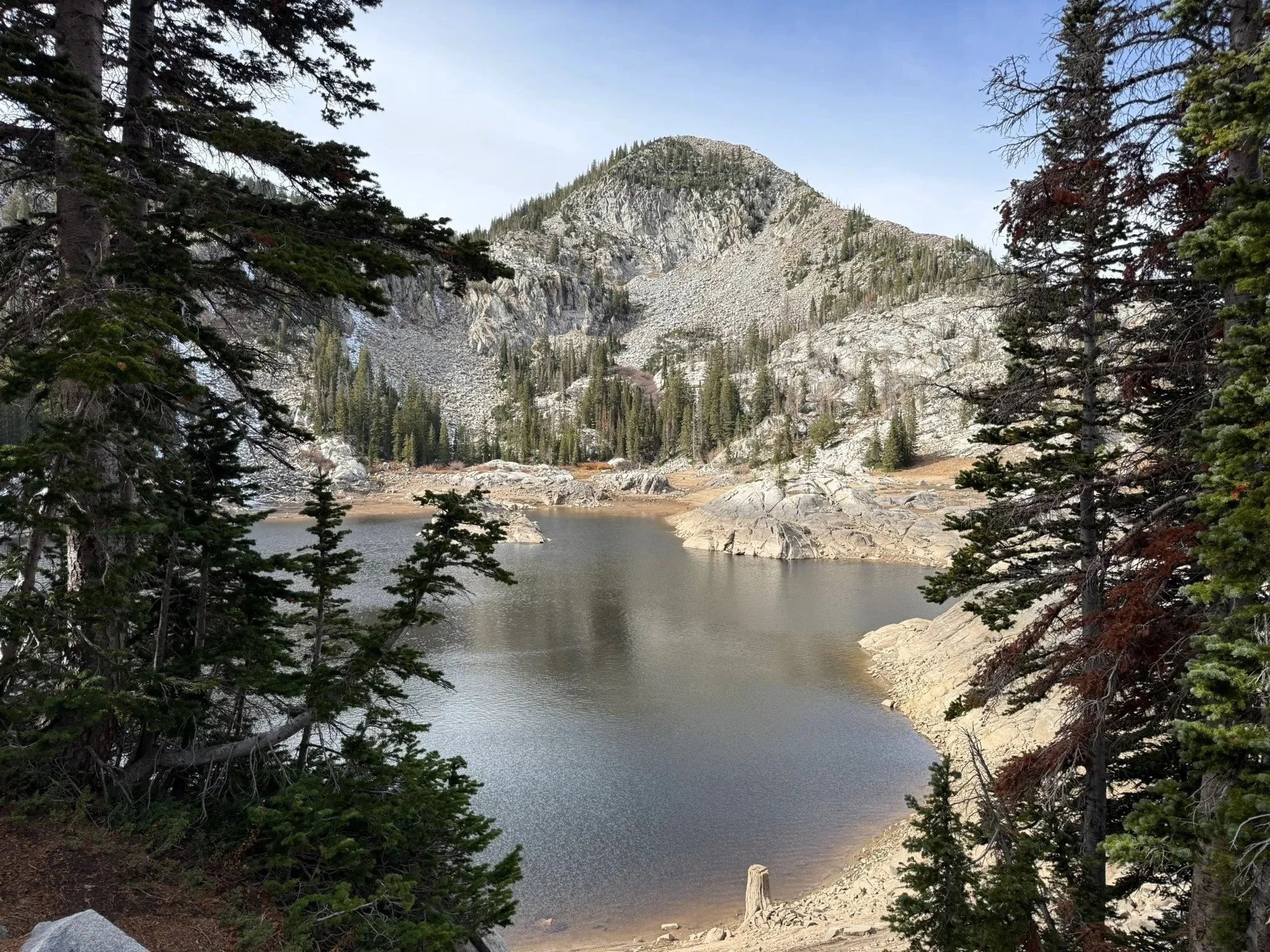 Image 6.jpeg