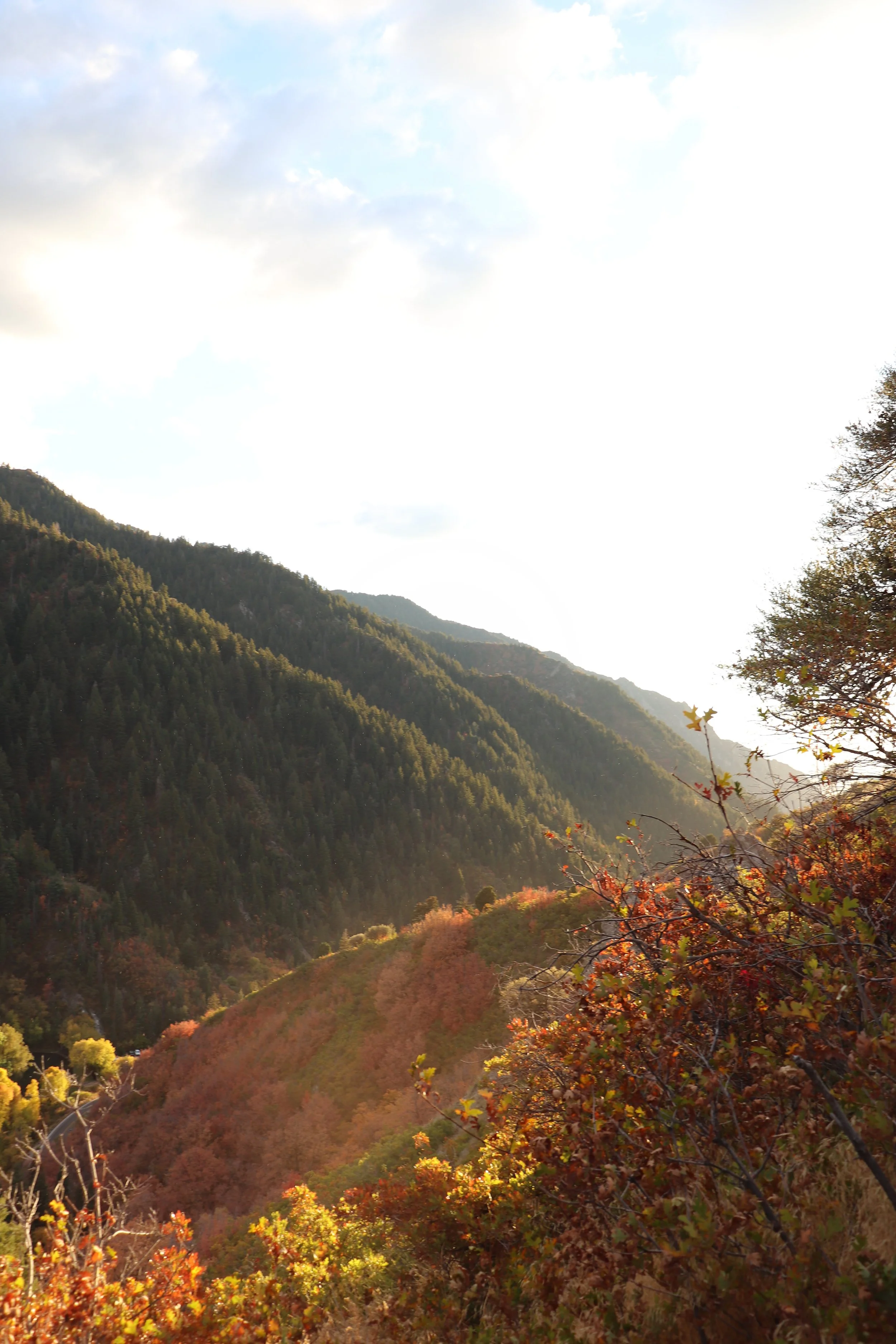 IMG_1467.jpeg (Copy)