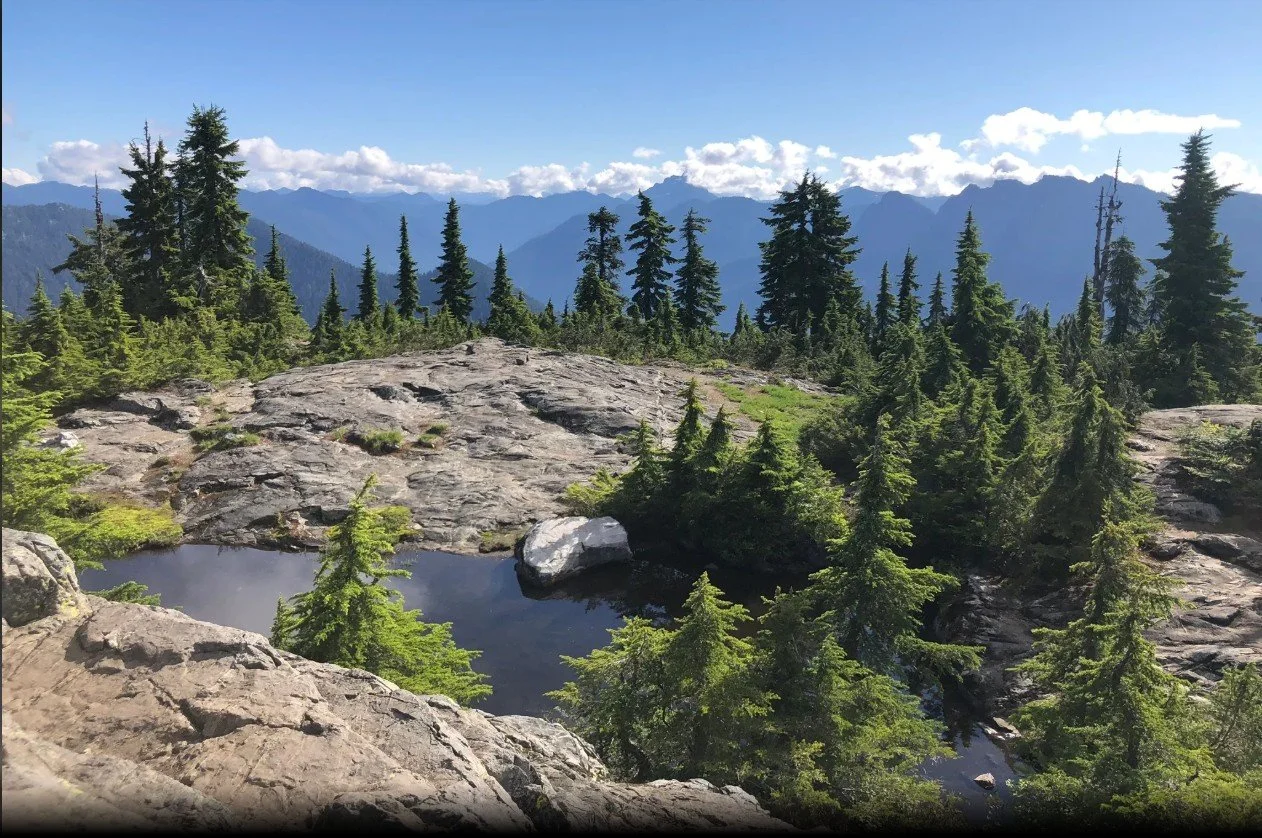 Explore Cypress Mountain and West Vancouver