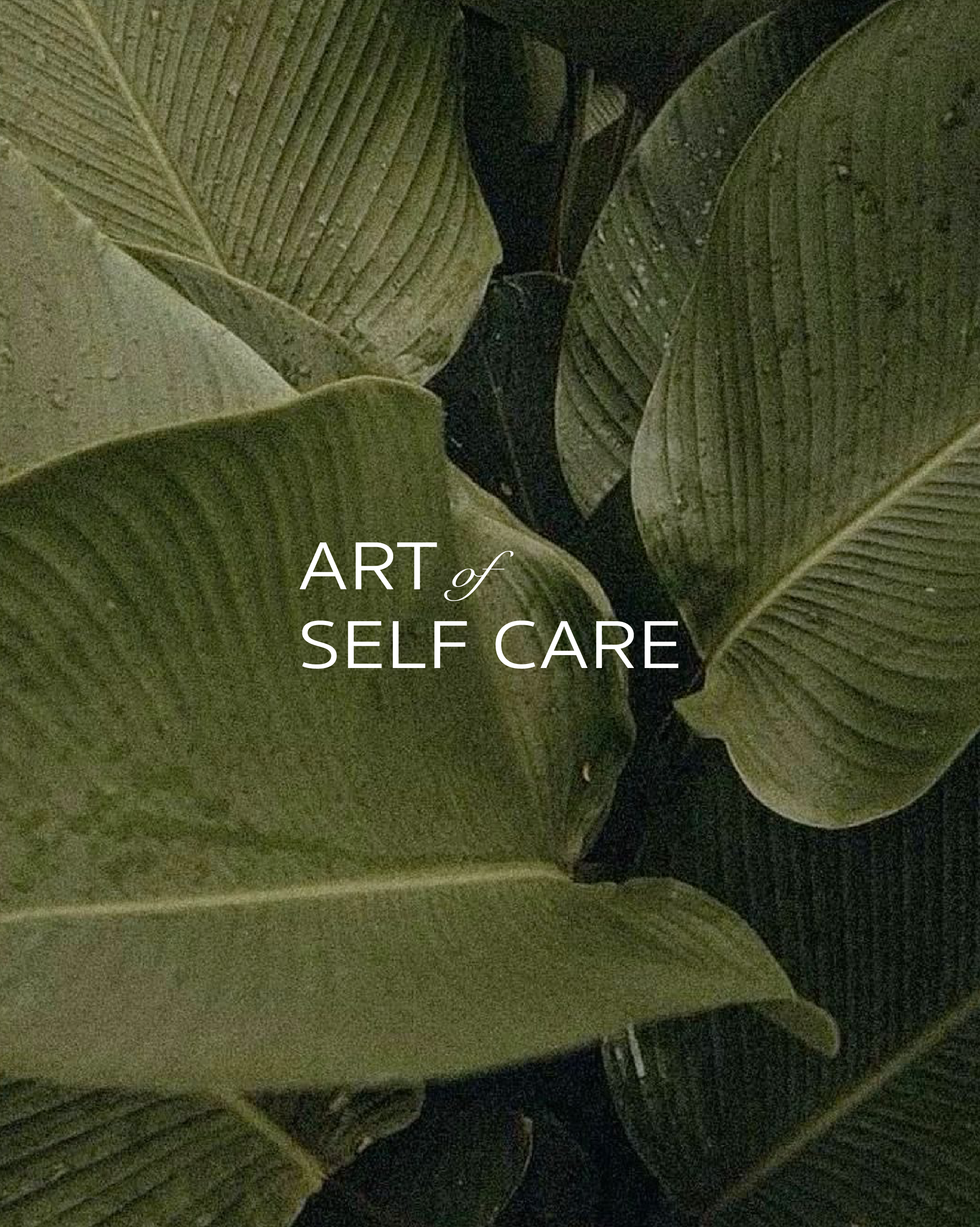 3Artboard 8_28@3x.png