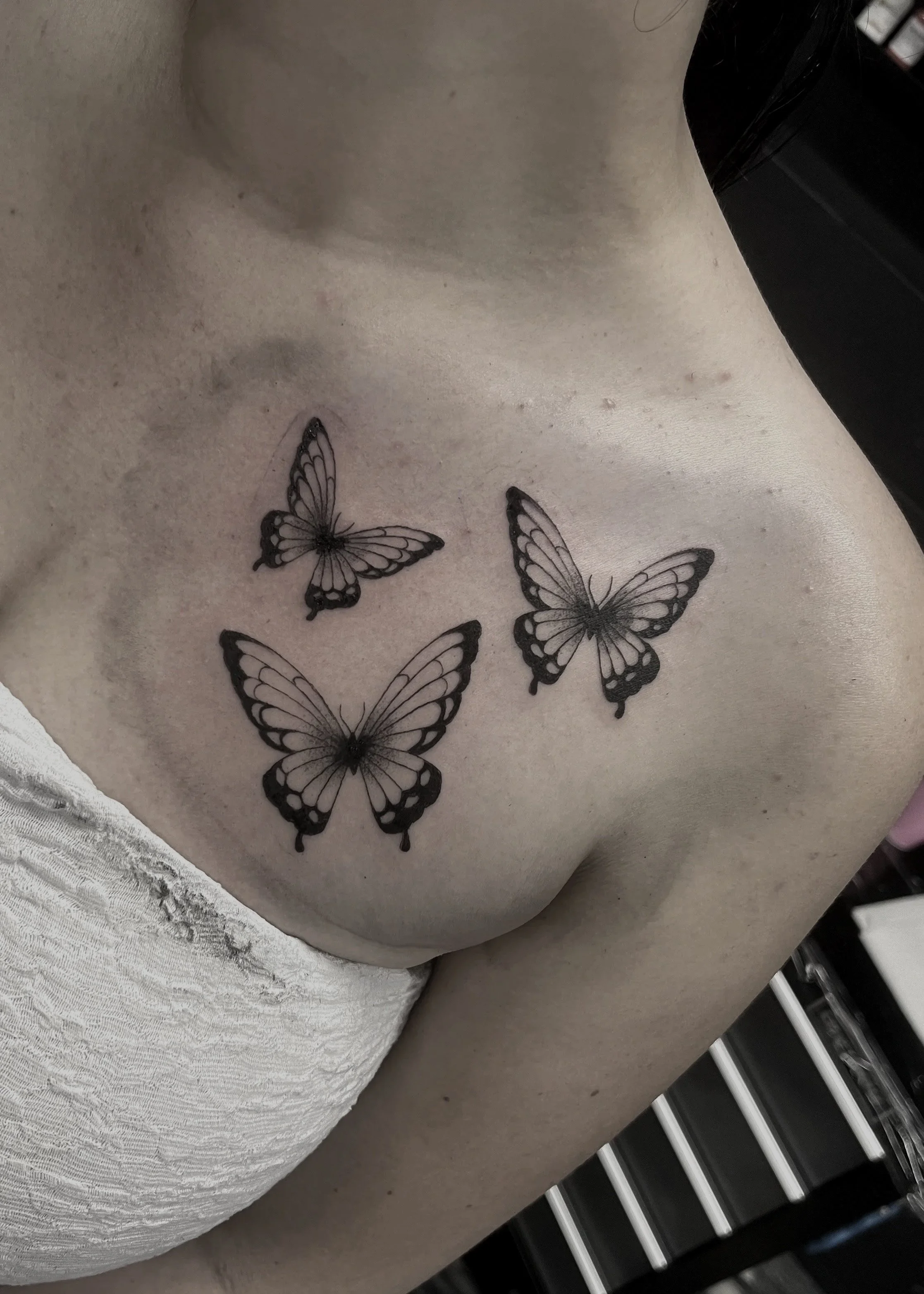 brisbane-tattoo-artist-blackwork-butterfly-neotrad-illustrative-fineline.jpg