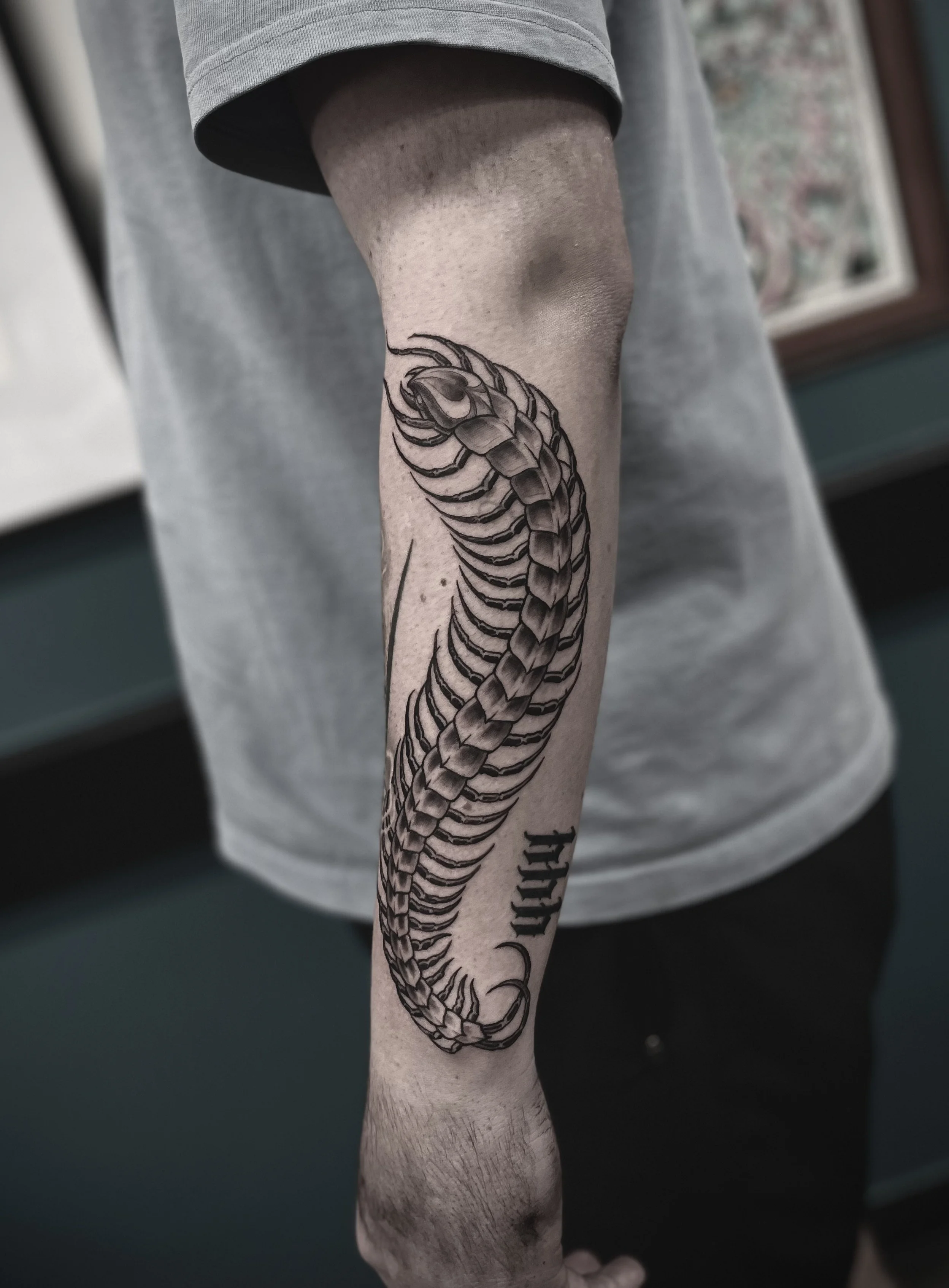 Neo-traditional-centipede-tattoo-brisbane-Blackwork-Ashtrae.jpeg