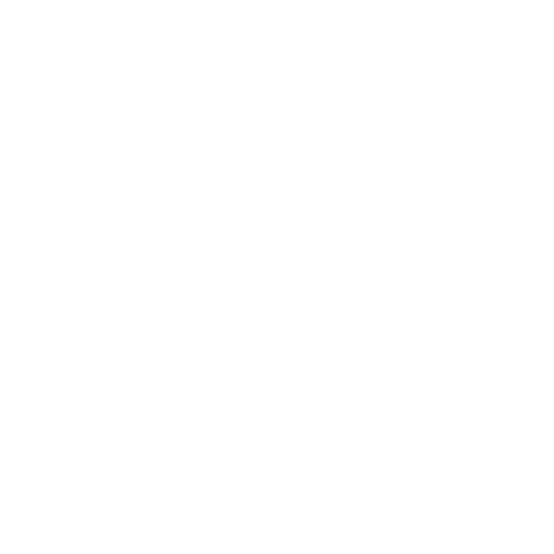 Maisom Ecommerce Experience