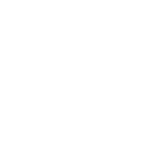 Maisom Social Media Experience