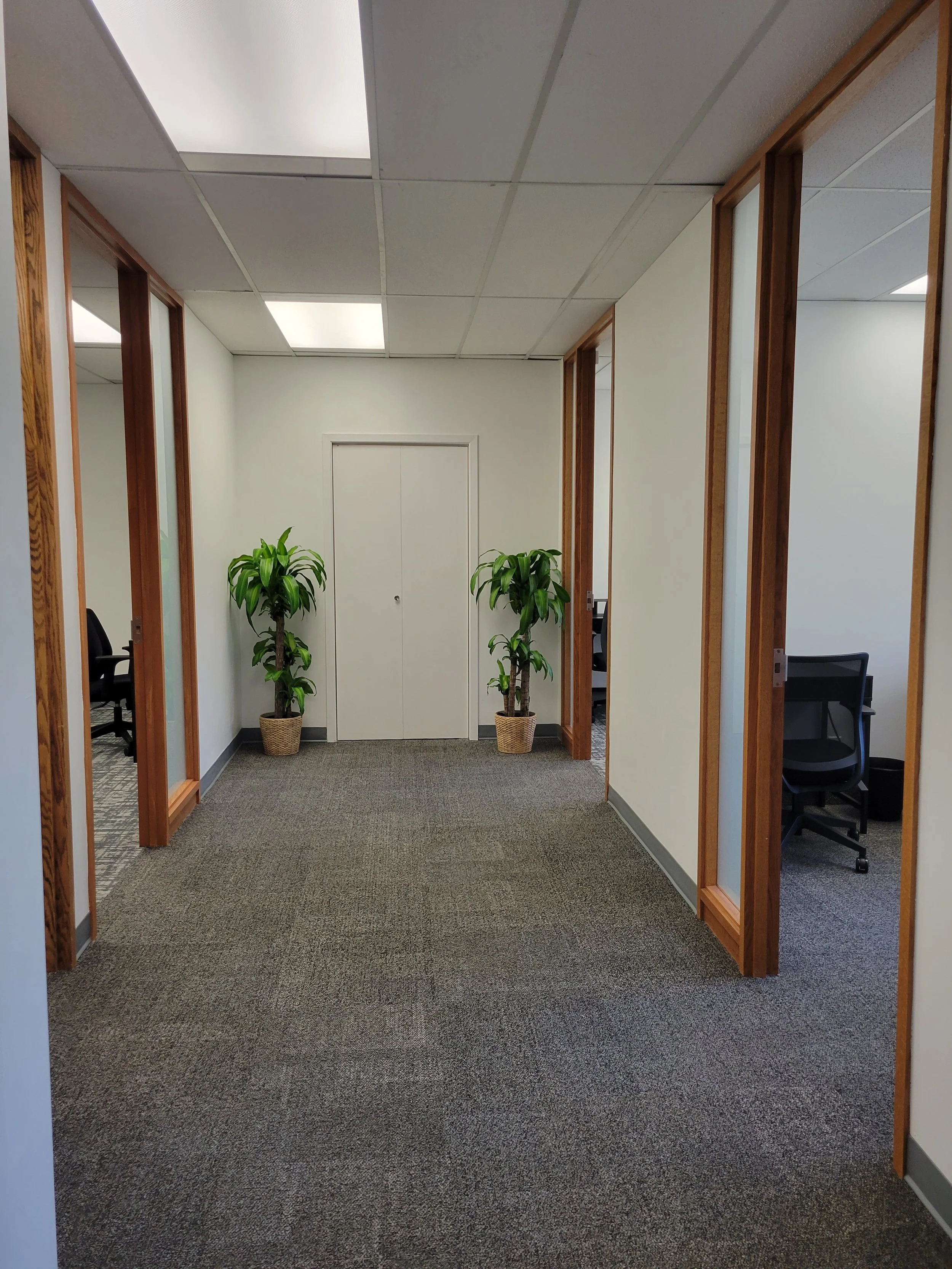 Office hallway with carpeted floor, white walls, ceiling tiles, and wooden framed glass doors. There are two potted plants on either side of a white closet door at the end of the hallway, with office chairs visible through the open doors.