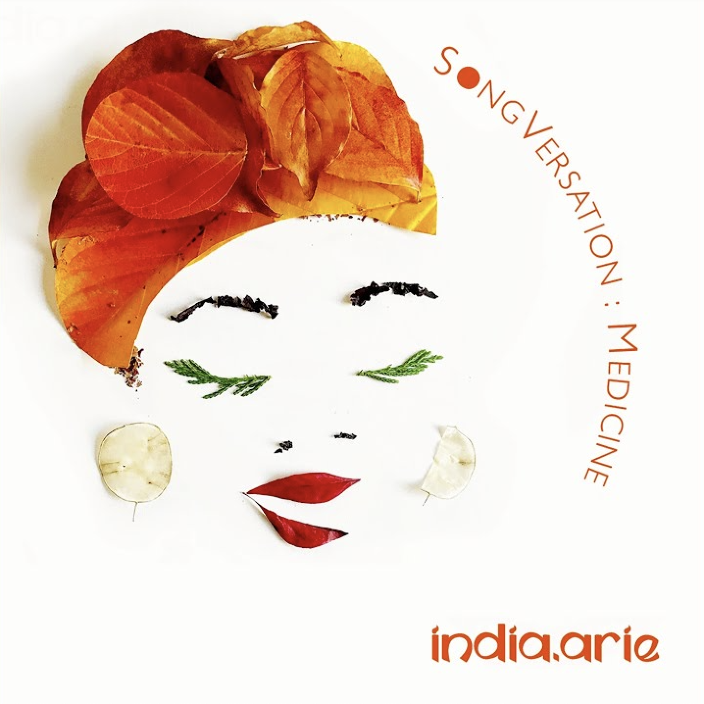 Face made with various leaves, with orange, red, yellow, green, and white colors, and the words 'Songversation: Medicine' around the face and 'india.arie' at the bottom.