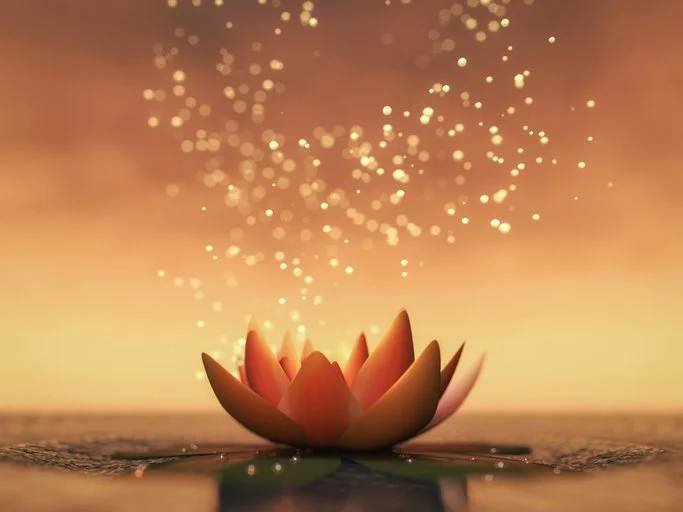 A lotus flower floating on water with sparkles and bokeh light effects in the background.