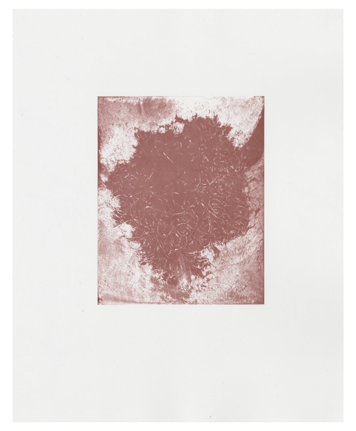   Untitled (Frictions)  2025 C-Prints from autothermohydrograms 8 x 10” (vertical) and 10 × 8” (horizontal) 