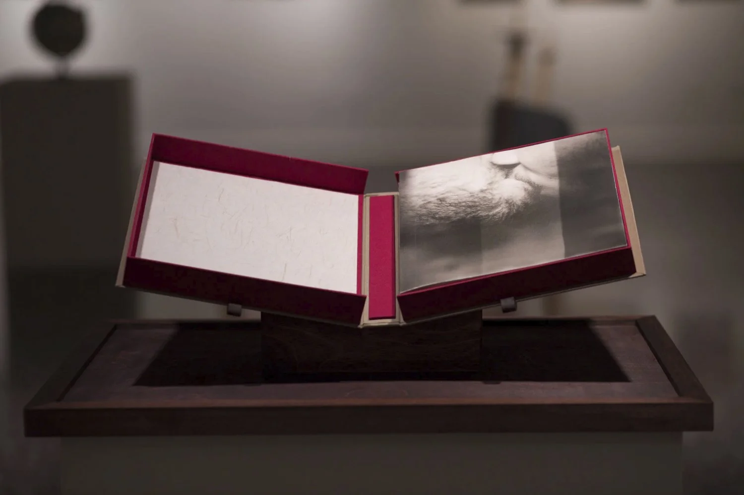   The Salt in My Flesh  2021 Handmade book printed on Japanese paper 10 x 10 x 0.5 in 