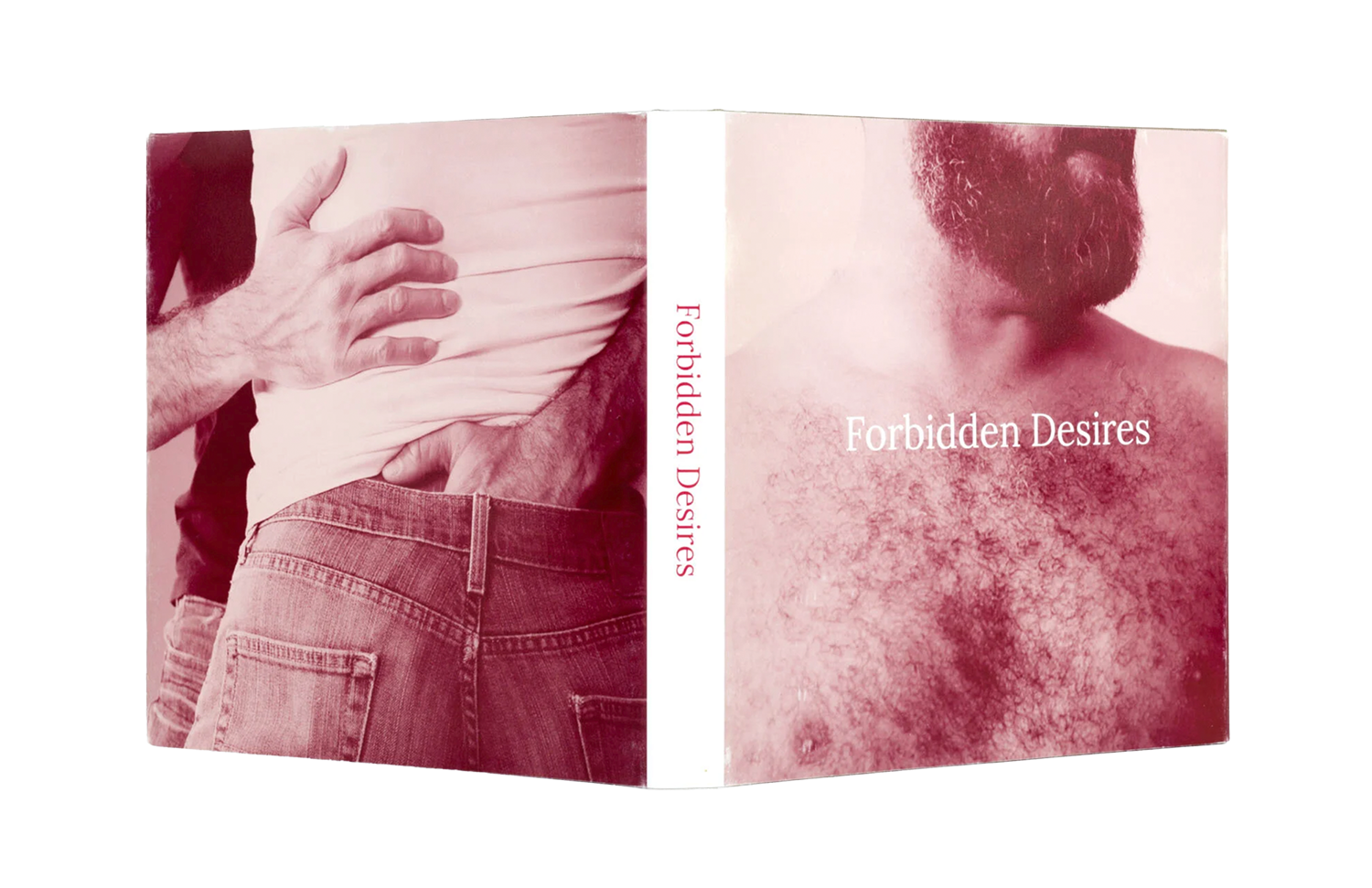   Forbidden Desires  2020 Handmade book printed on matte paper 5 x 5 x 0.75” 
