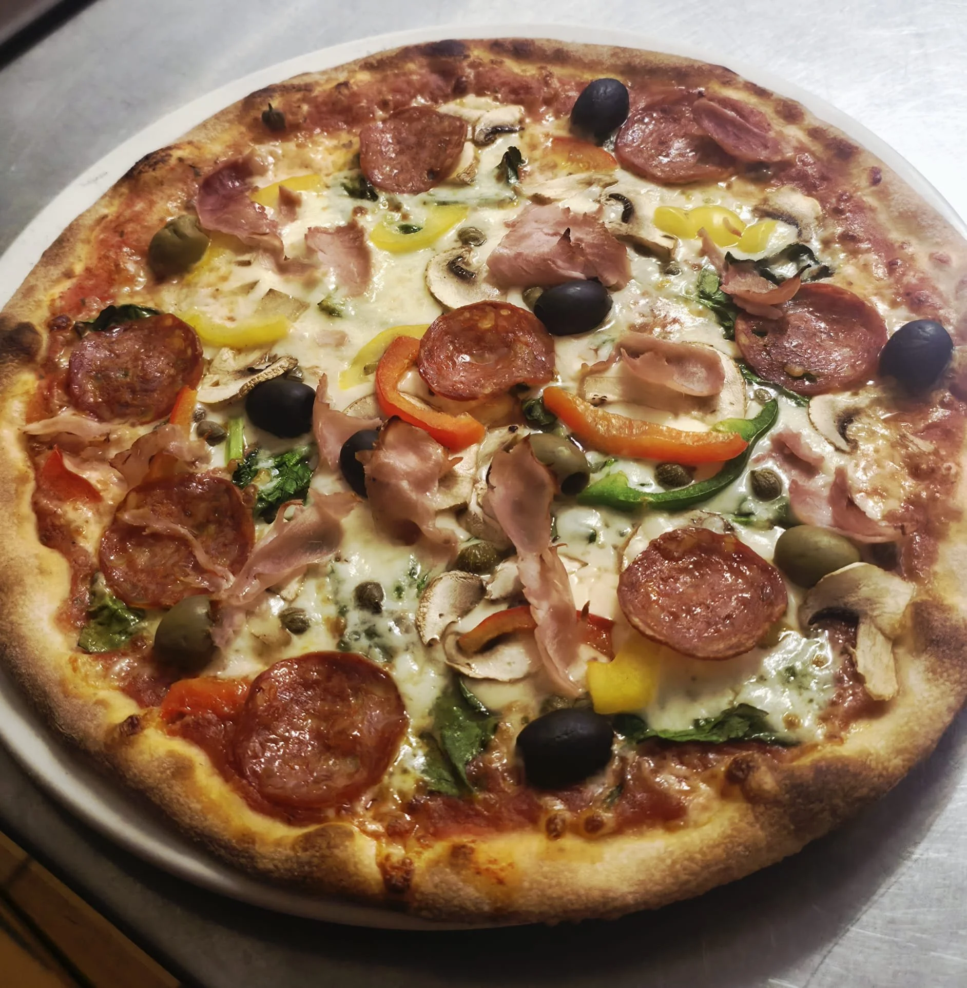 WhatsApp Image 2026-02-12 at 23.47.49 (2).jpeg