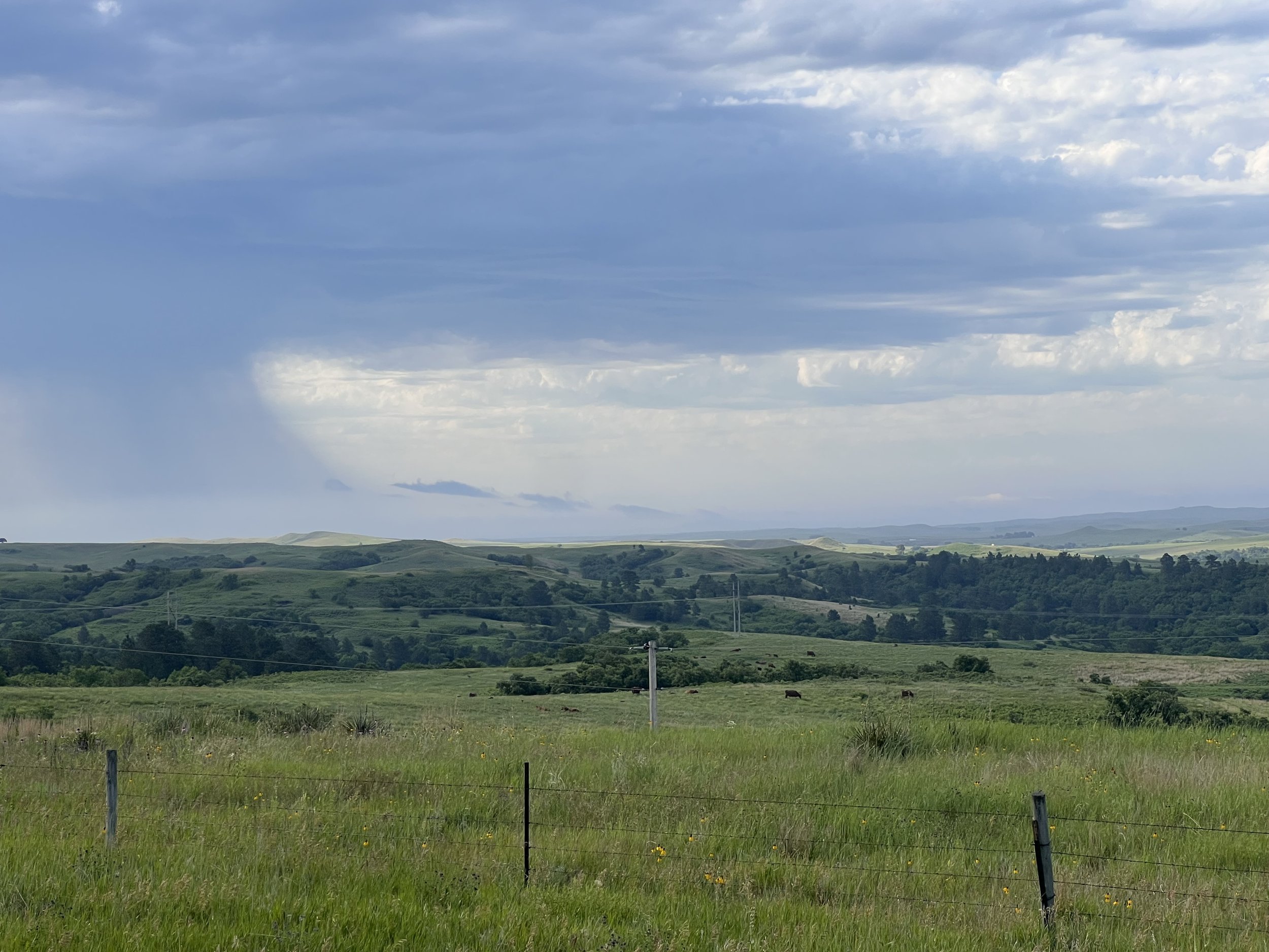 A scenic landscape featuring rolling green pastures, some trees, and distant hills or mountains under a partly cloudy sky.