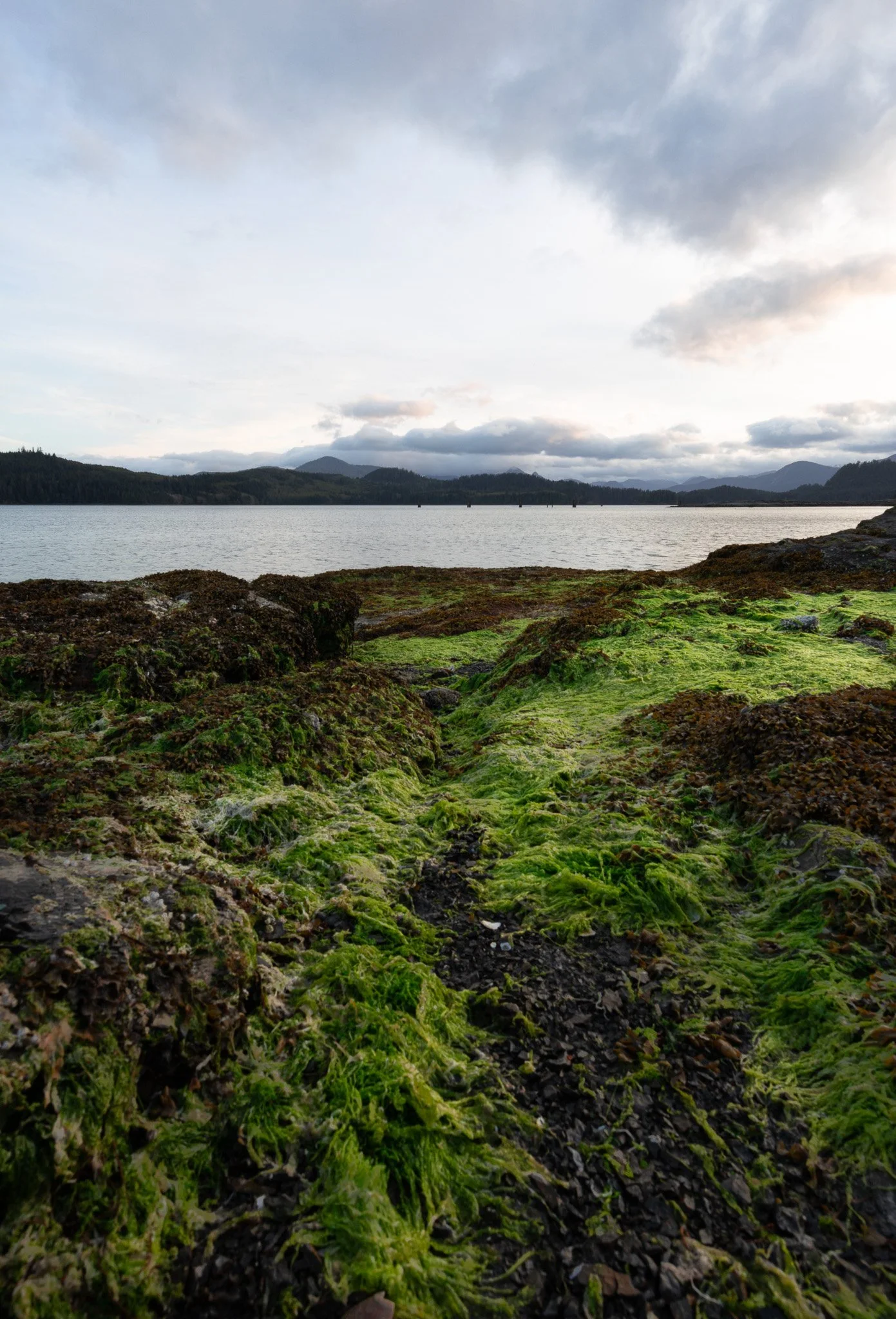 Haida Gwaii landscape.