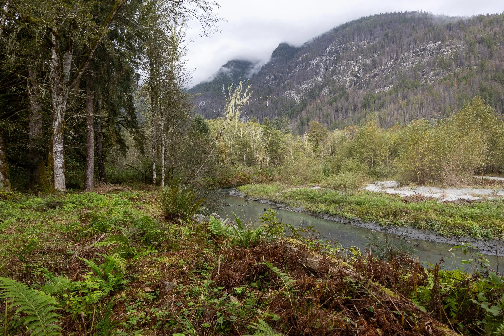 Upcoming Workshops I’m Attending (2026–2027)