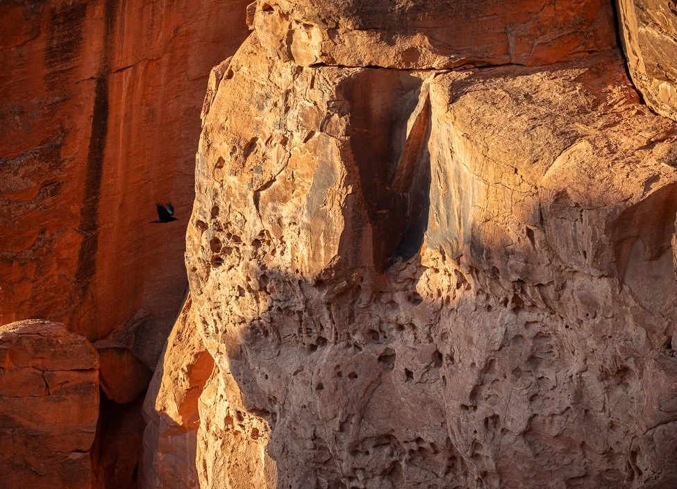 Spent some time down in Las Vegas with my sister, who lives just a short distance from the Valley of Fire.  We hiked like crazy and, while we didn&rsquo;t see much in the way of wildlife, we did see some gorgeous scenery! Just took my breath away!

S