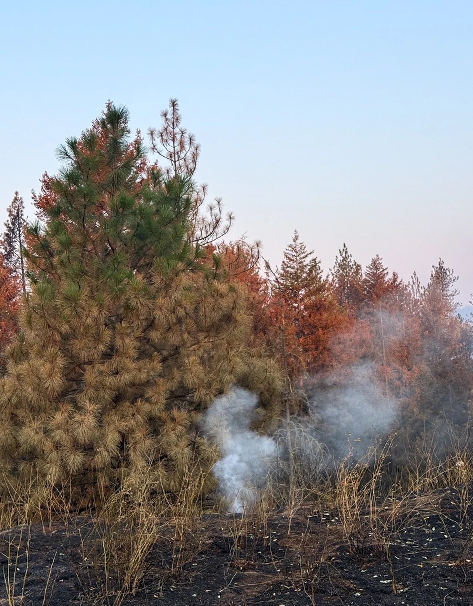 Hot spot in Riverside State Park.
