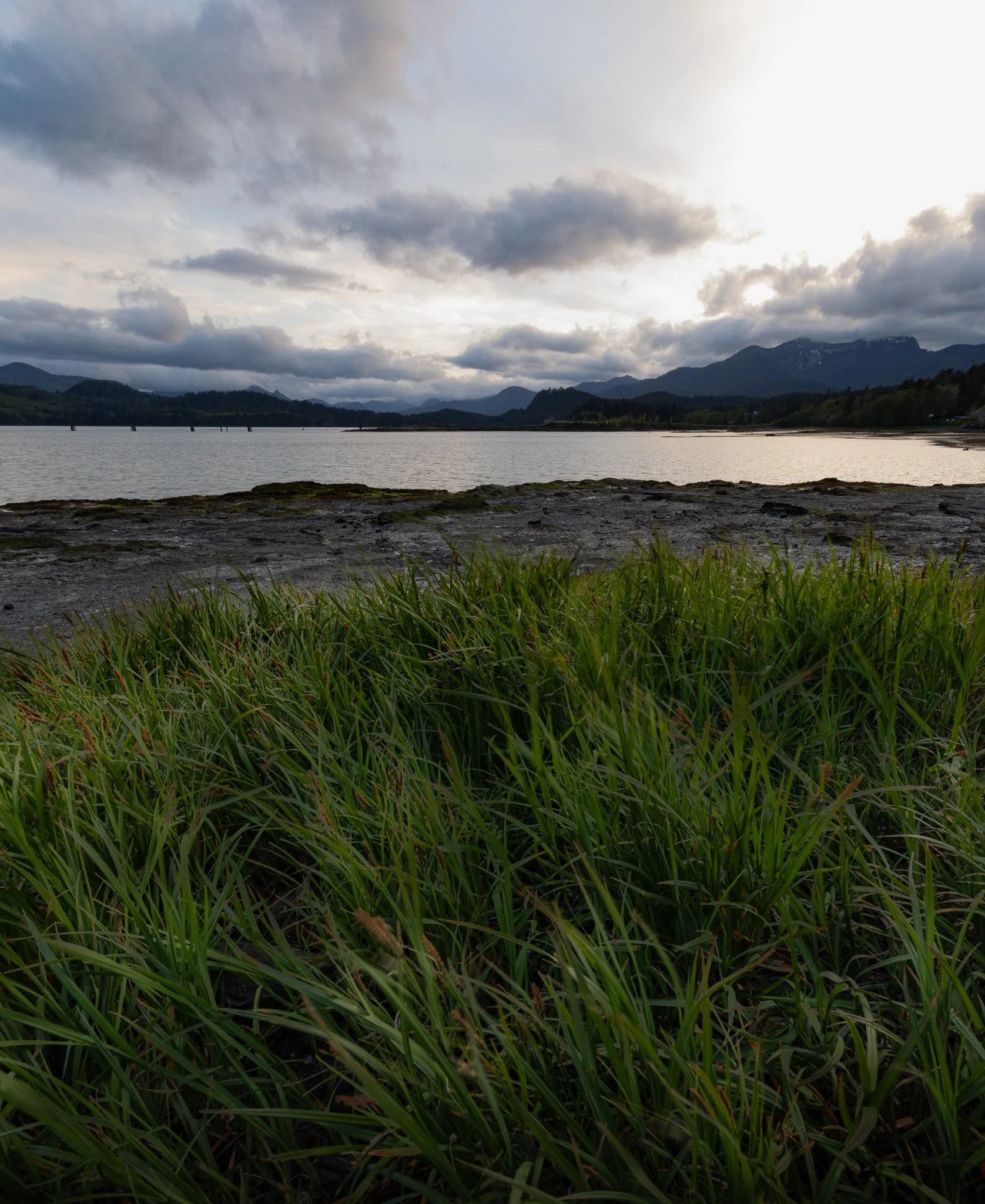 Haida Gwaii landscape.