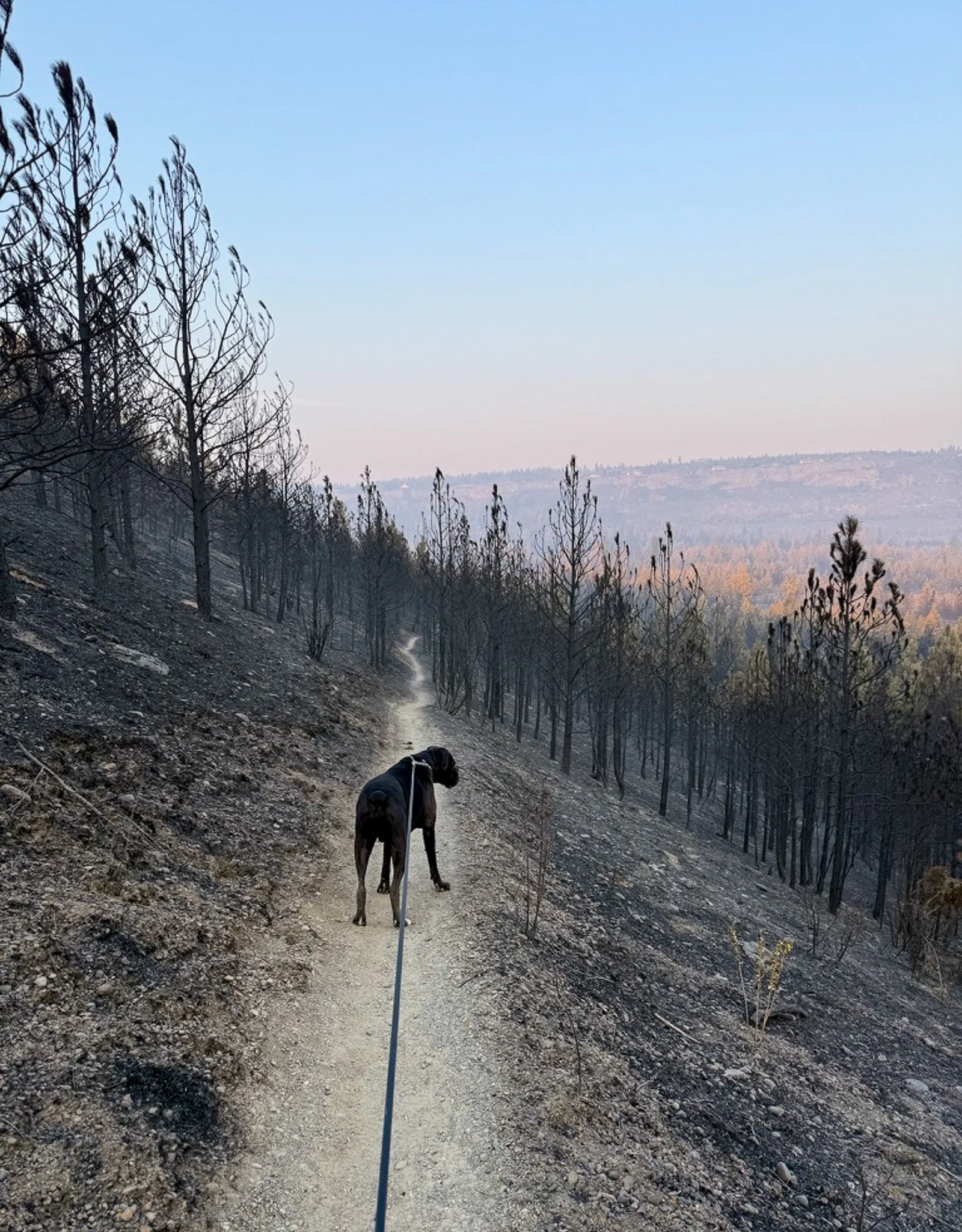 Murphy and I heading down from the bluff to the flats below.